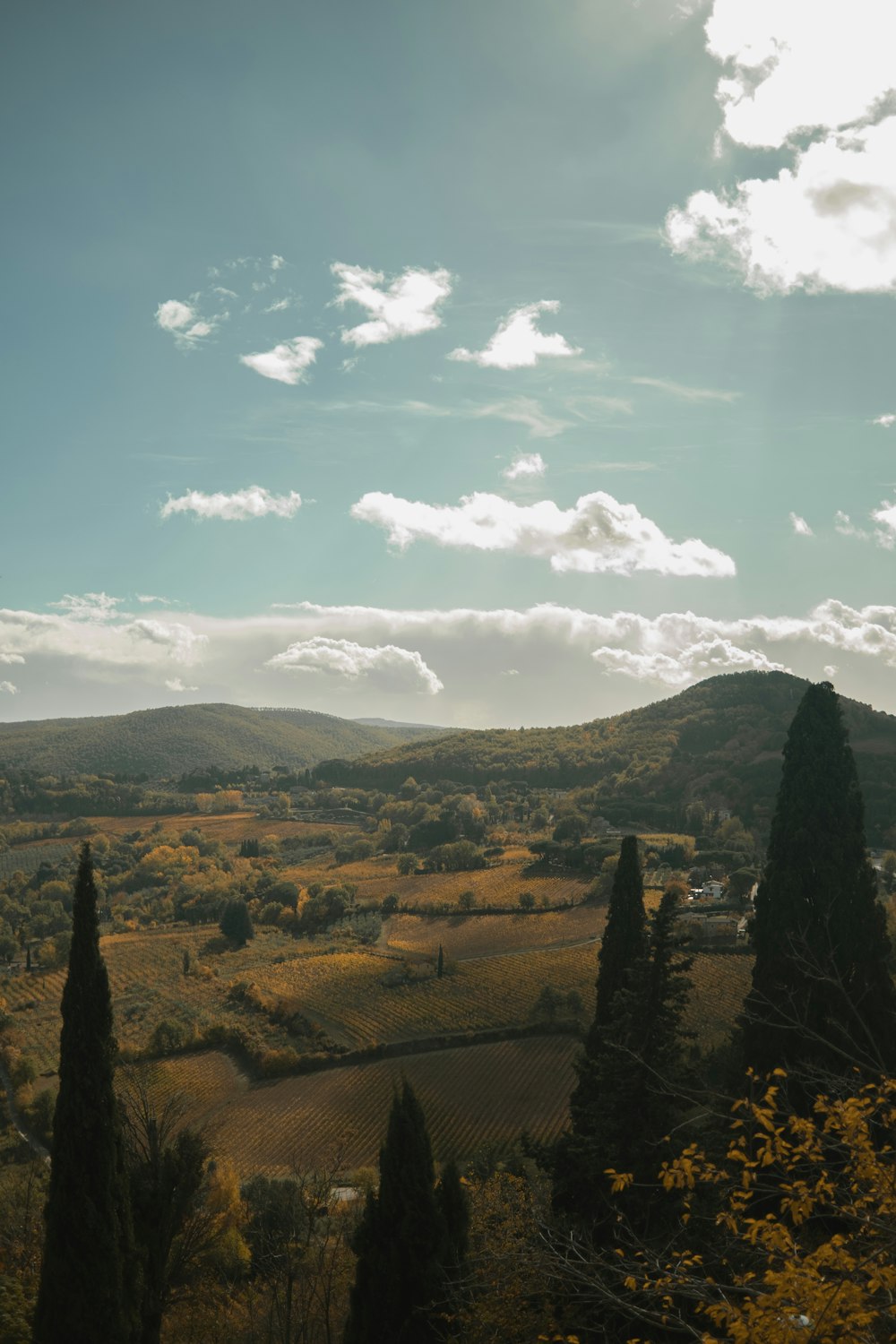 a view of a valley with trees and hills in the background