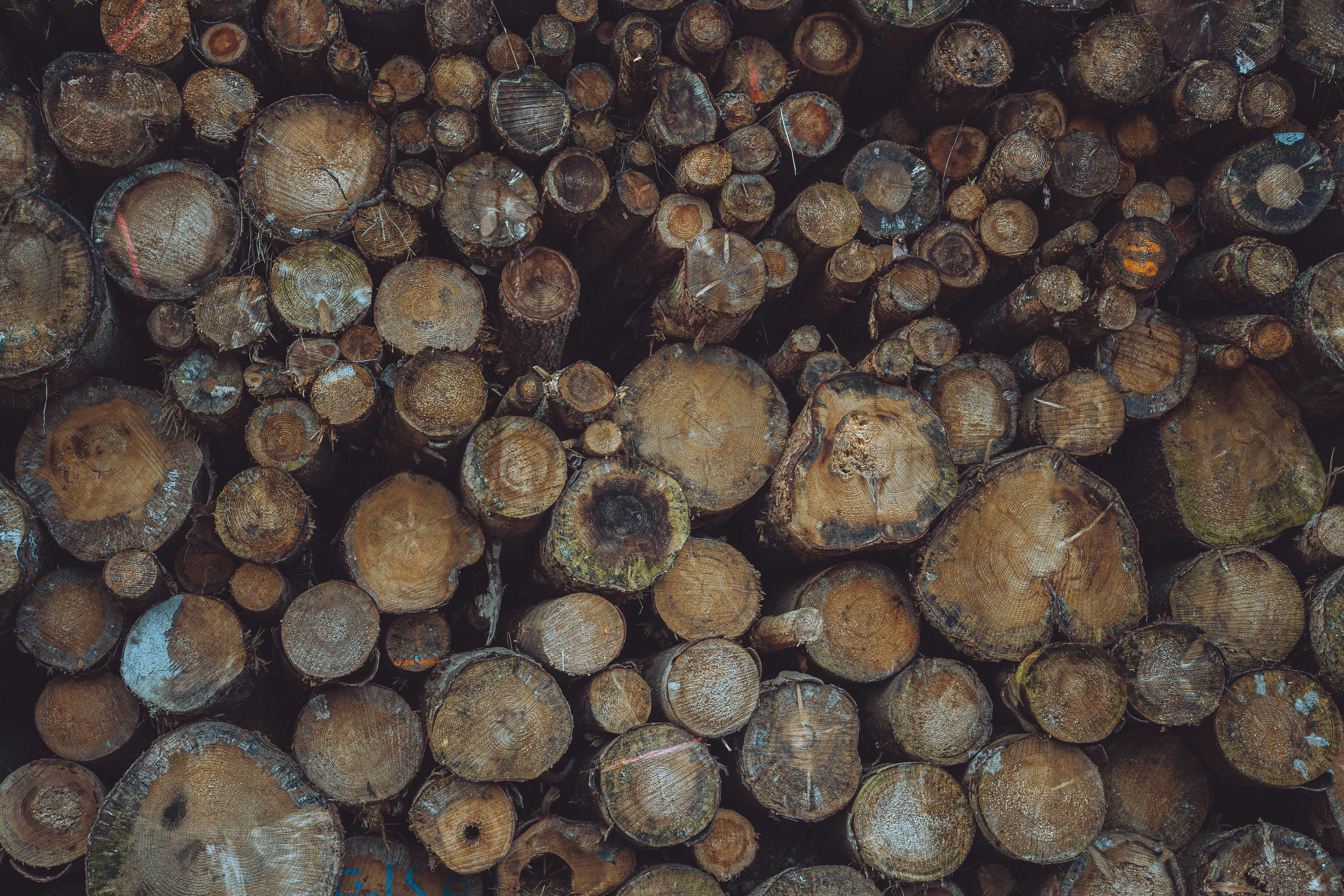 Photo by patriklaszlo