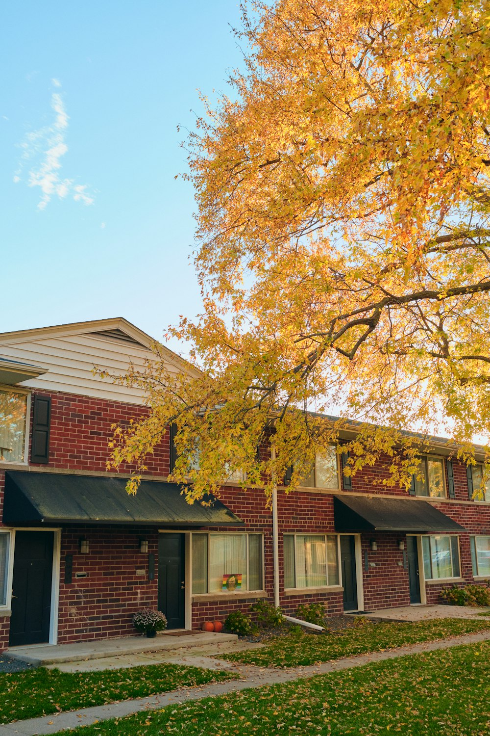 a red brick apartment building with a tree in front of it