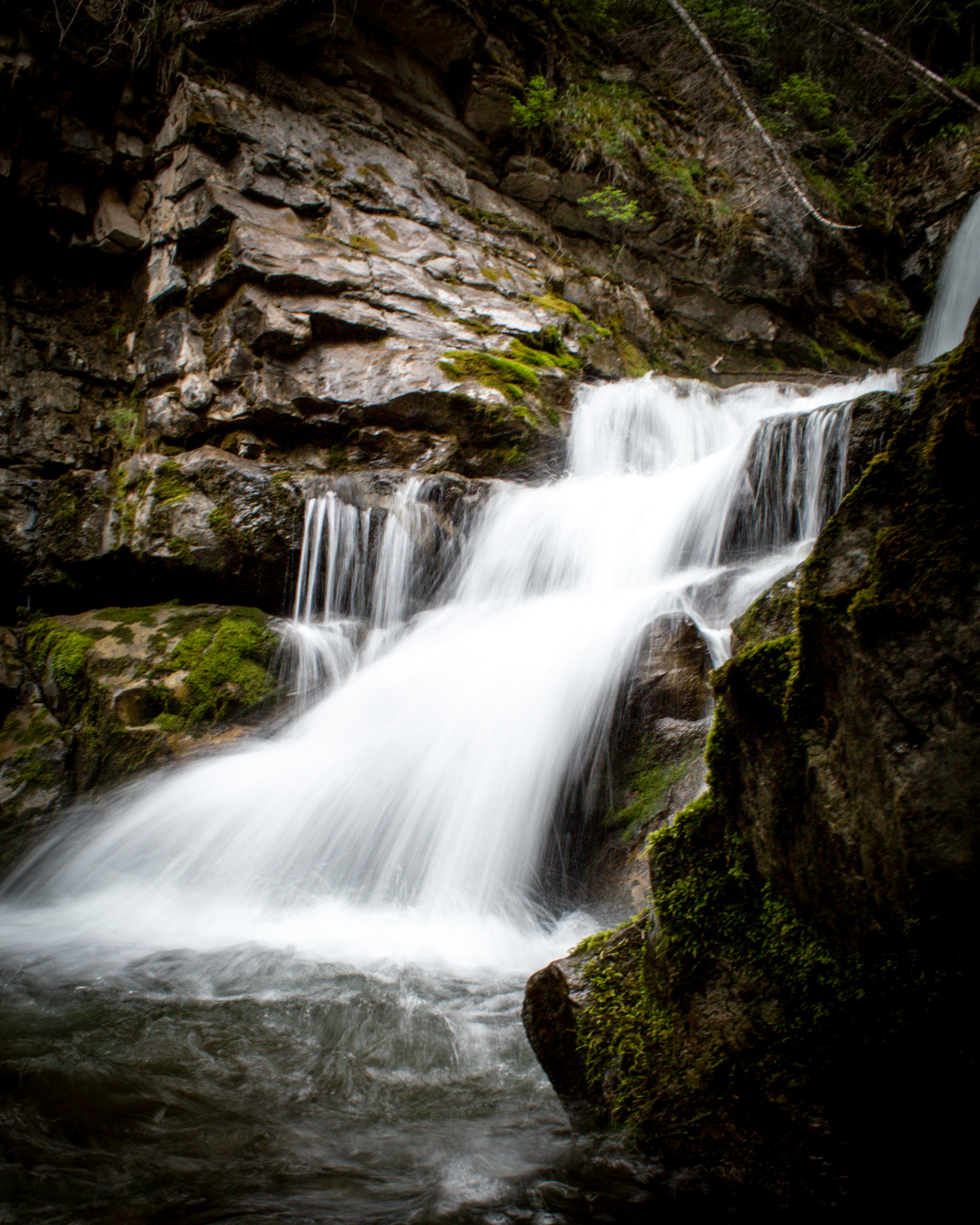 Photo by samuelsva31