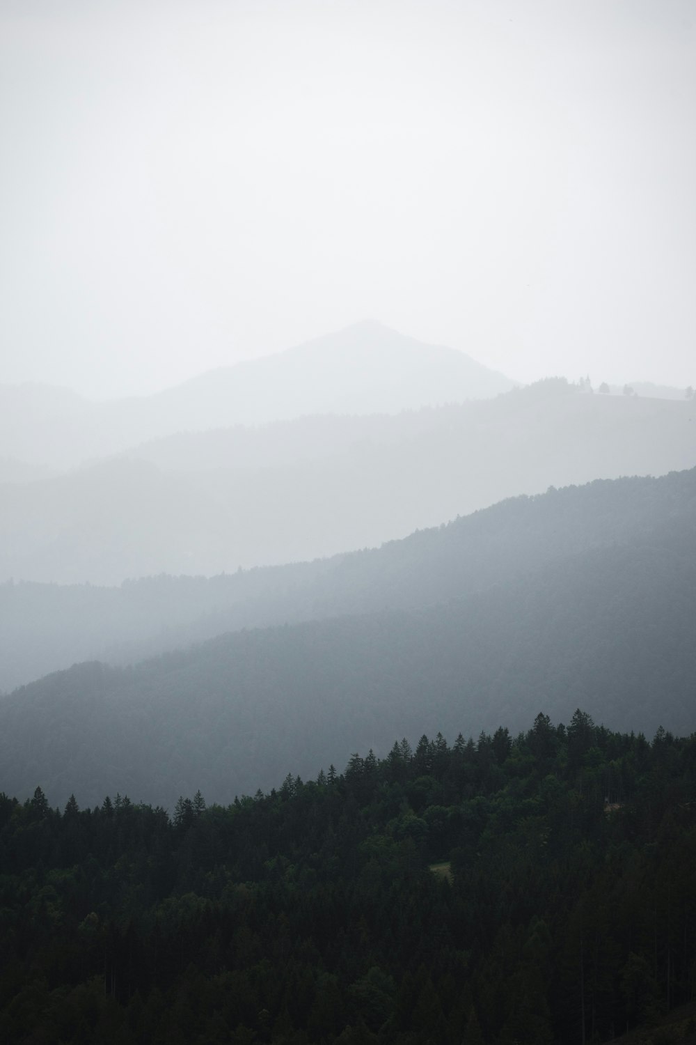 a view of a mountain range with trees in the foreground