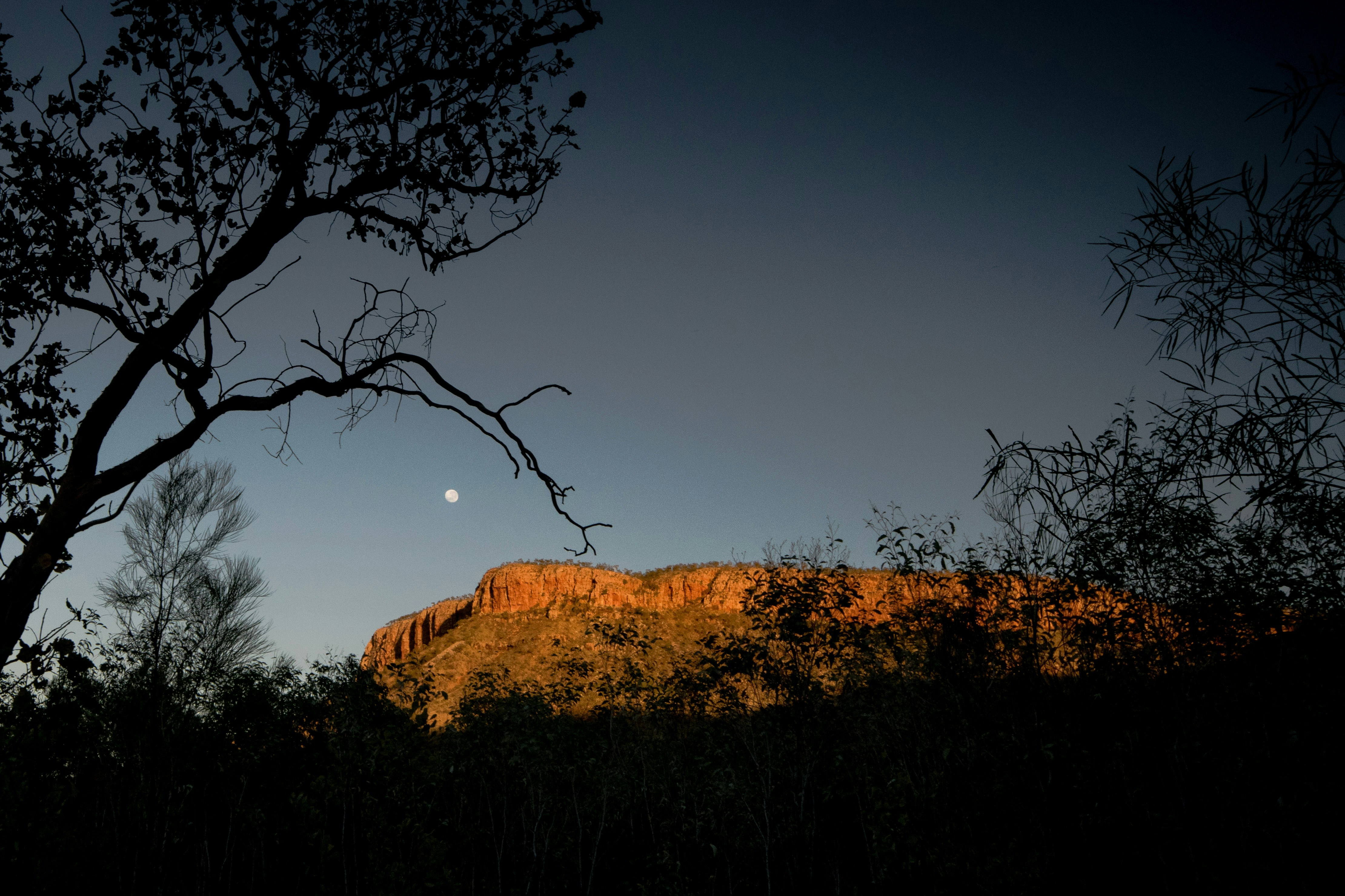 the moon is setting over a mountain with trees