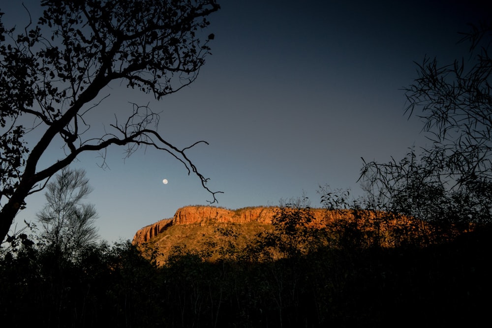 the moon is setting over a mountain with trees