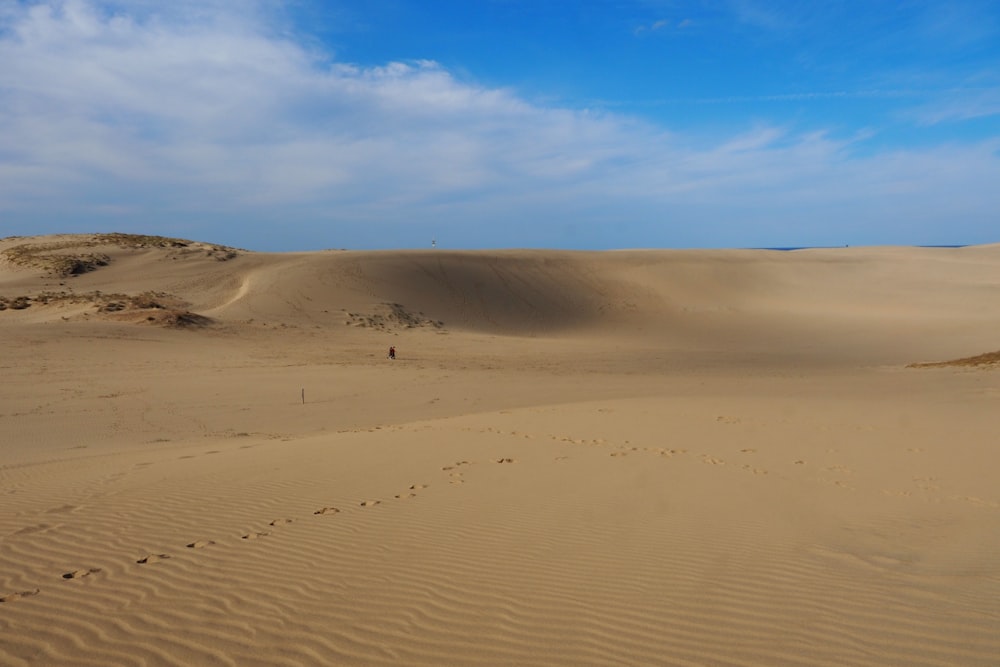 Une zone sablonneuse avec quelques empreintes dans le sable