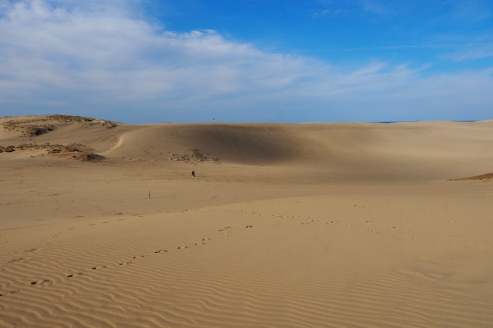 a sandy area with a few footprints in the sand