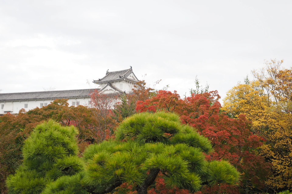 The image depicts a serene autumn scene with a white pagoda-like structure standing tall against an overcast sky. The pagoda is nestled amidst lush greenery, including trees and bushes that display vibrant hues of red, orange, yellow, and green leaves. The perspective of the photo is from below, looking up at the pagoda, which enhances its majestic presence in the landscape.
