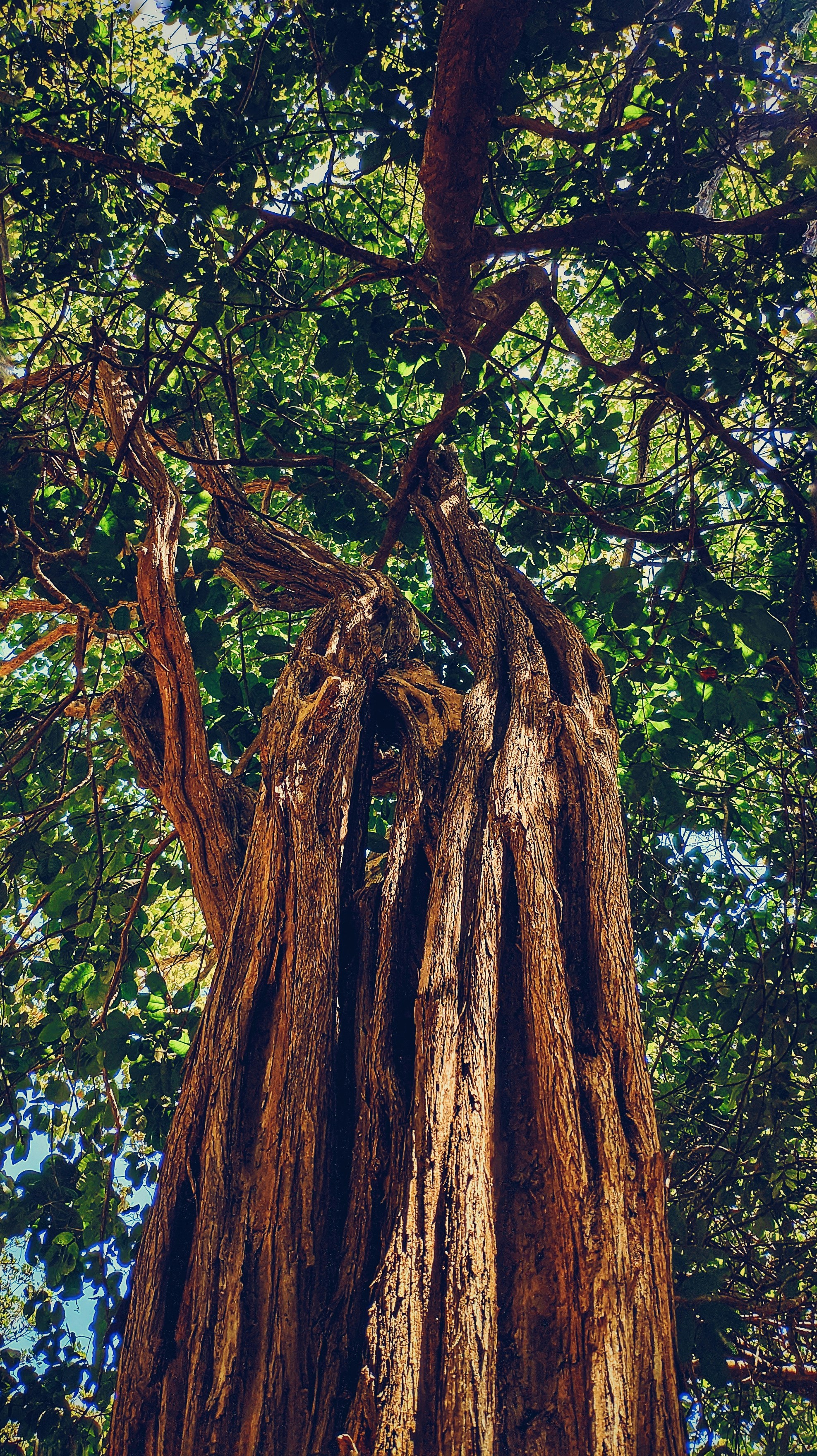 Photo by filipesizilio