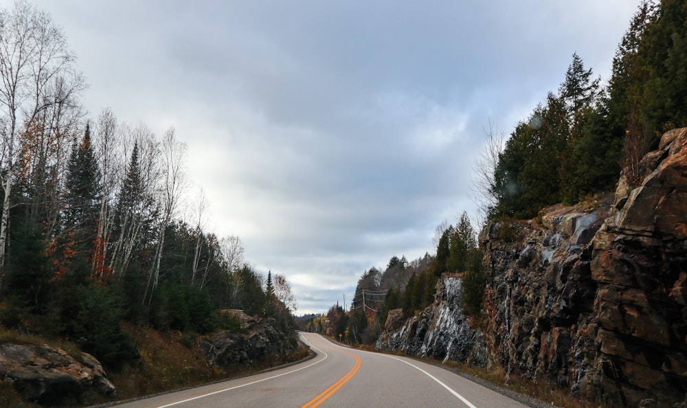 a car driving down a road next to a forest