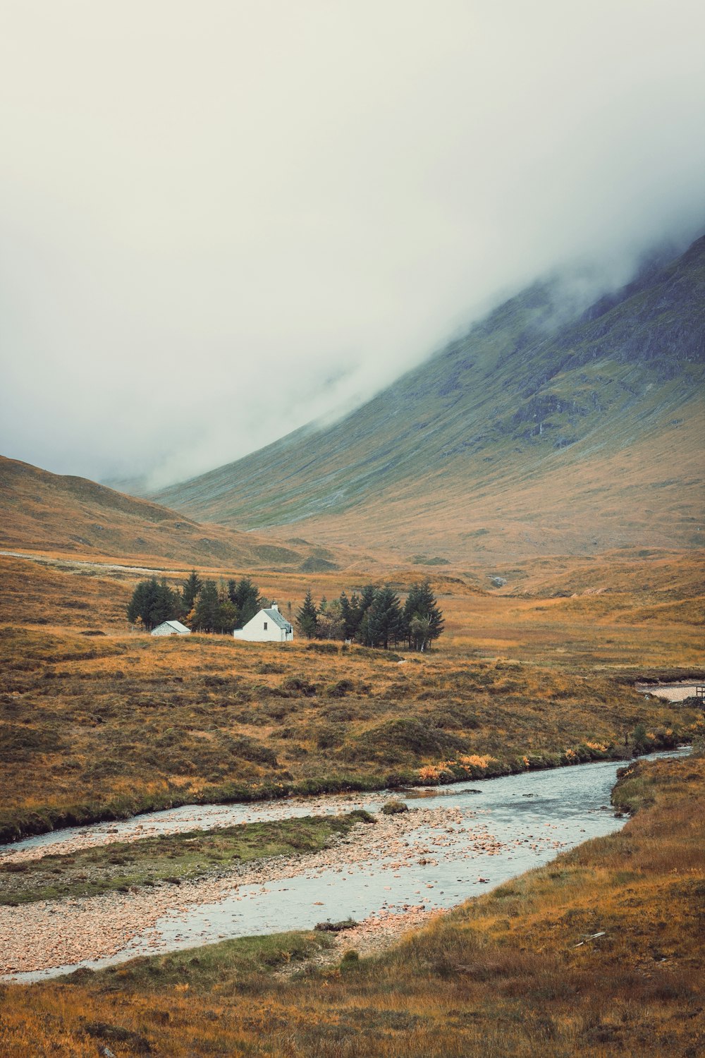 a stream running through a lush green valley