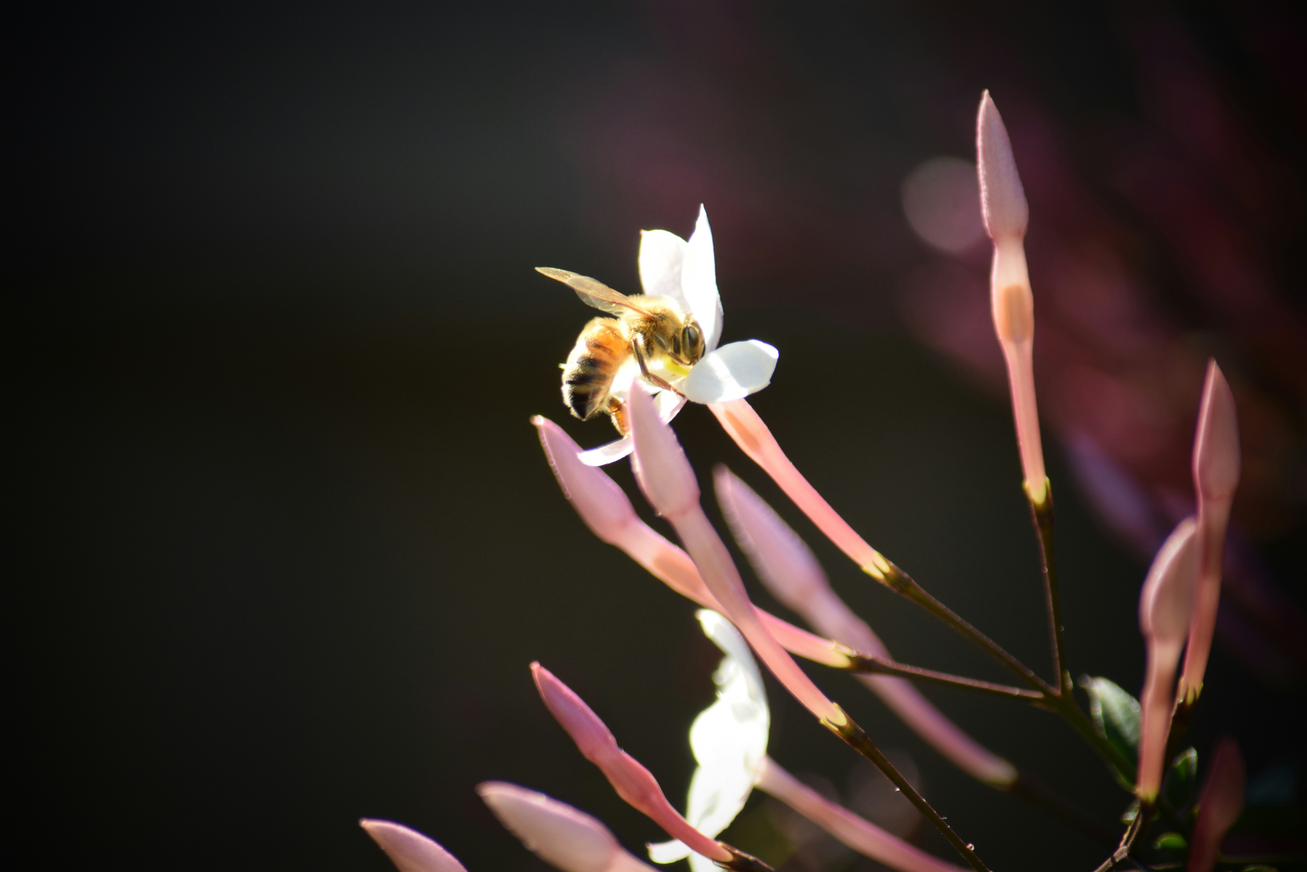 Photo by ch_photography