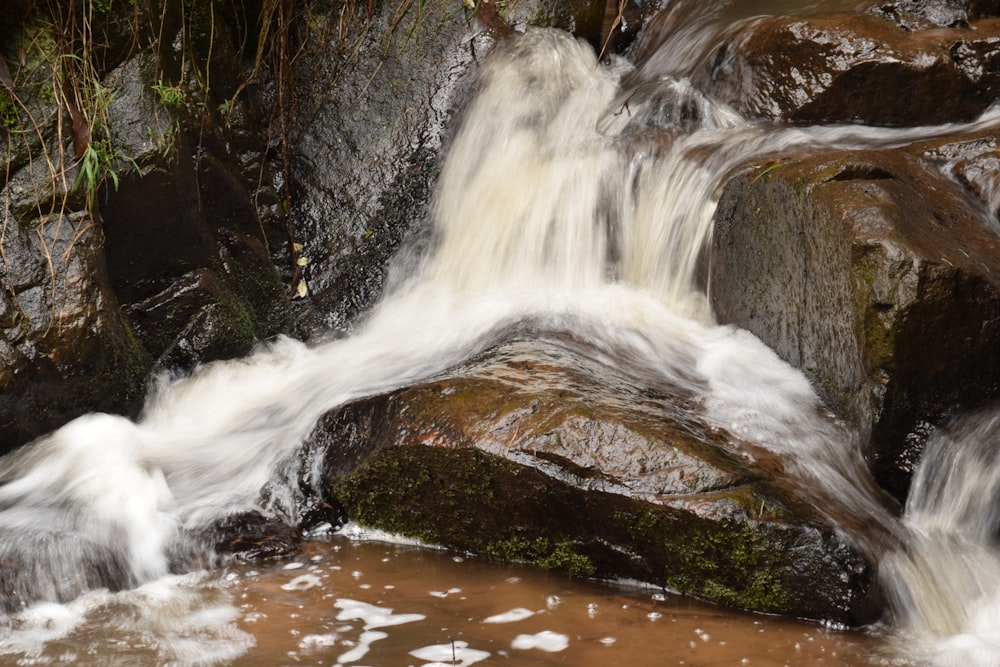 Ein Wasserstrom, der über Felsen in einem Bach fließt