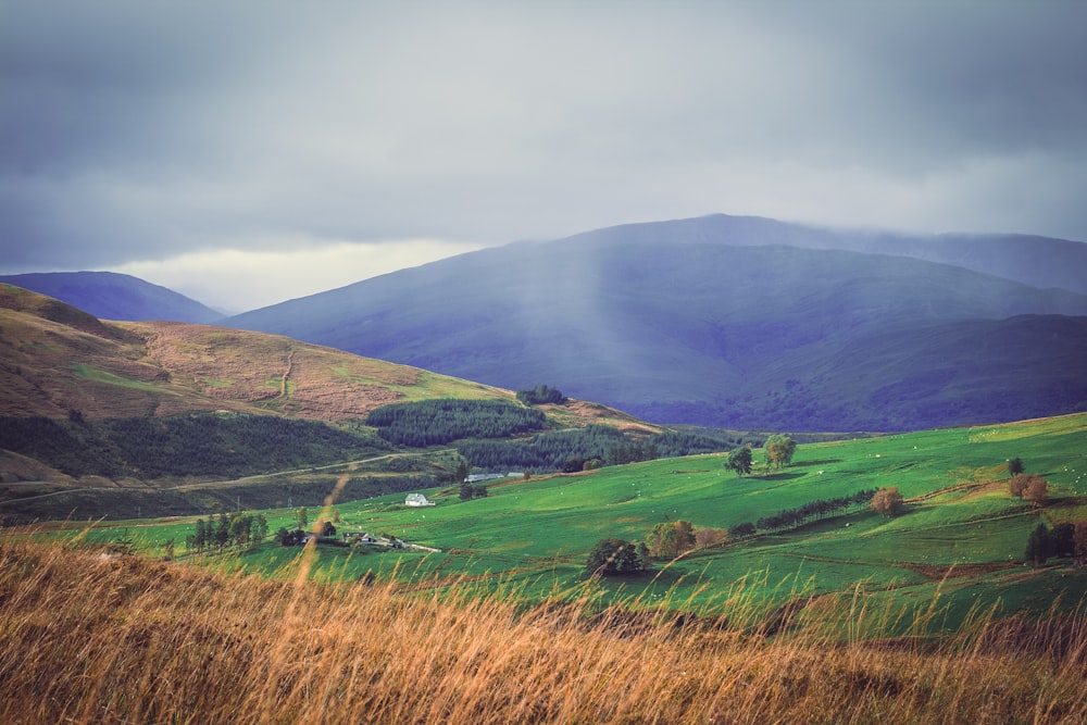 a grassy field with mountains in the background