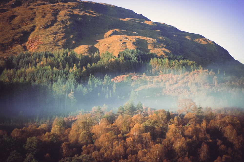 an aerial view of a mountain with trees in the foreground