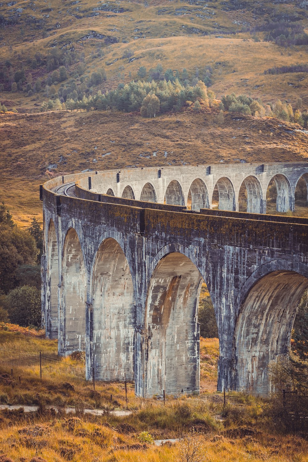 a train crossing a bridge in the middle of a field