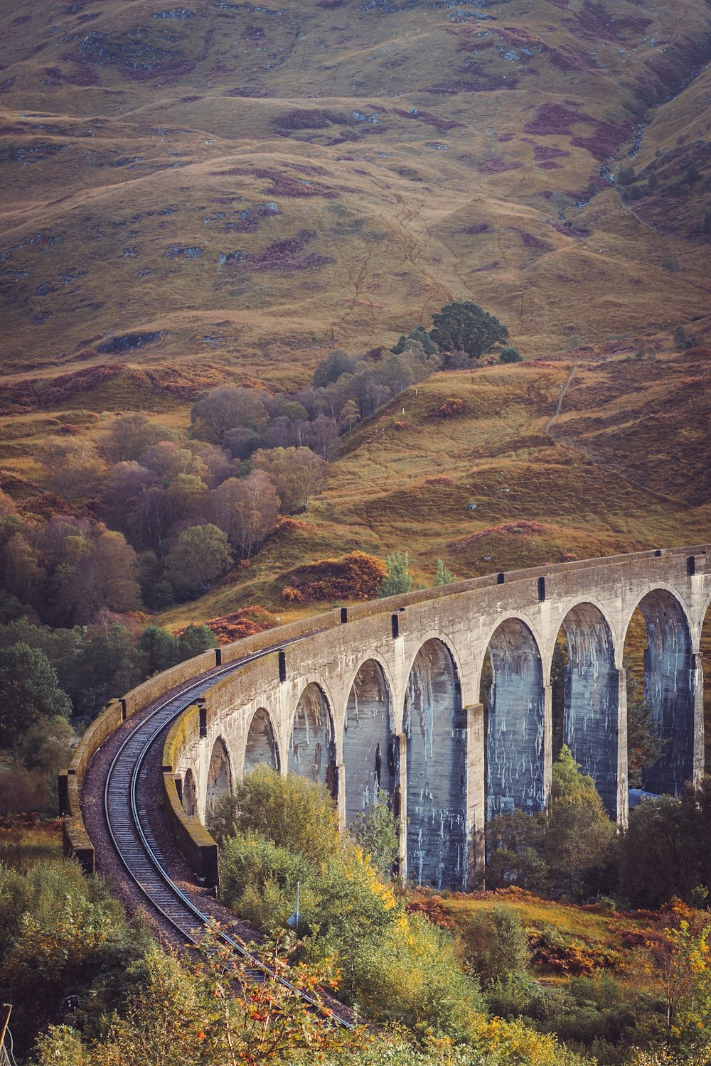 a train traveling over a bridge in the mountains