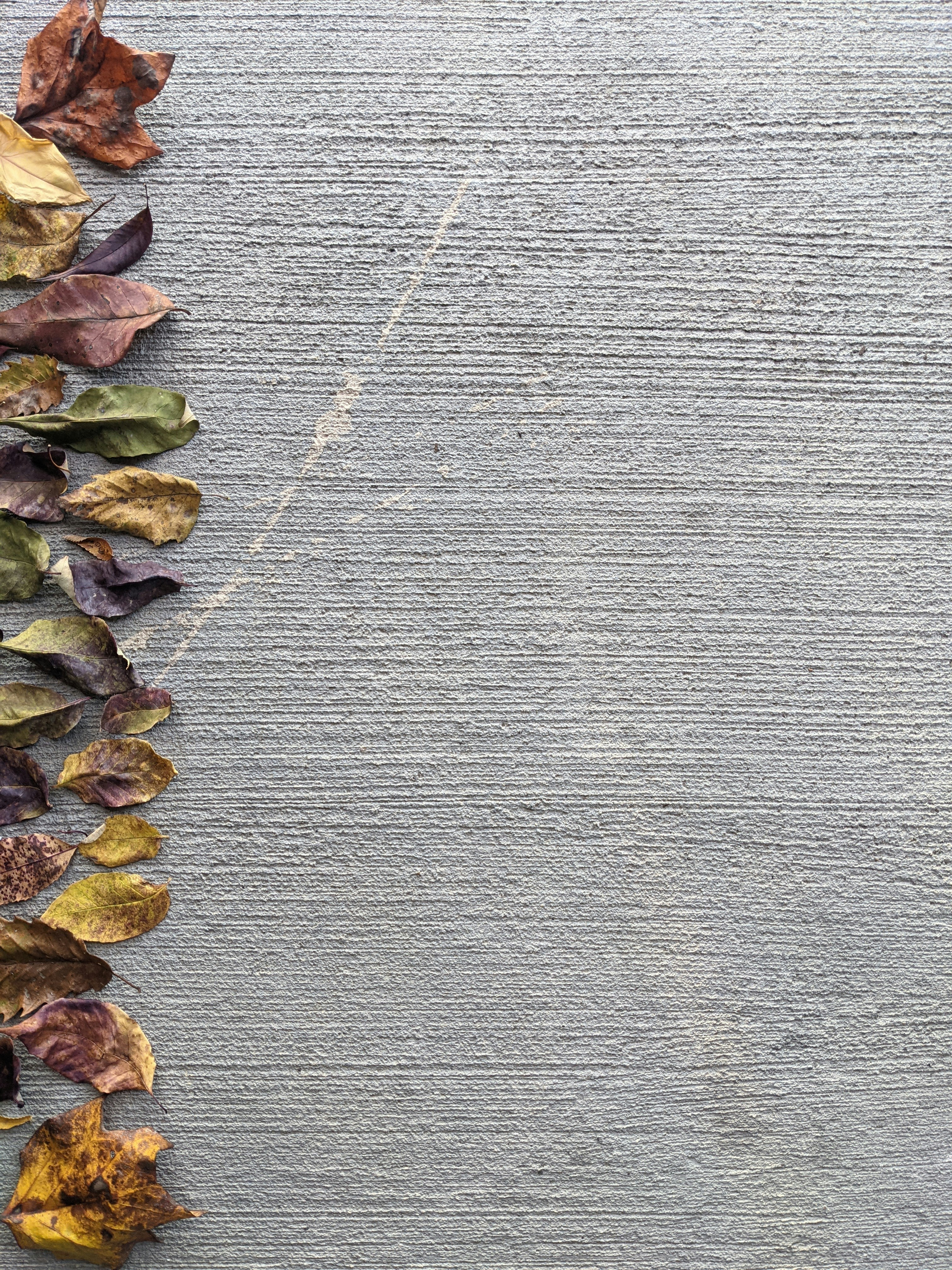 fall leaves wallpaper, wallpaper, Fall Crafts for Adults: Creative Ideas & Inspiration 6