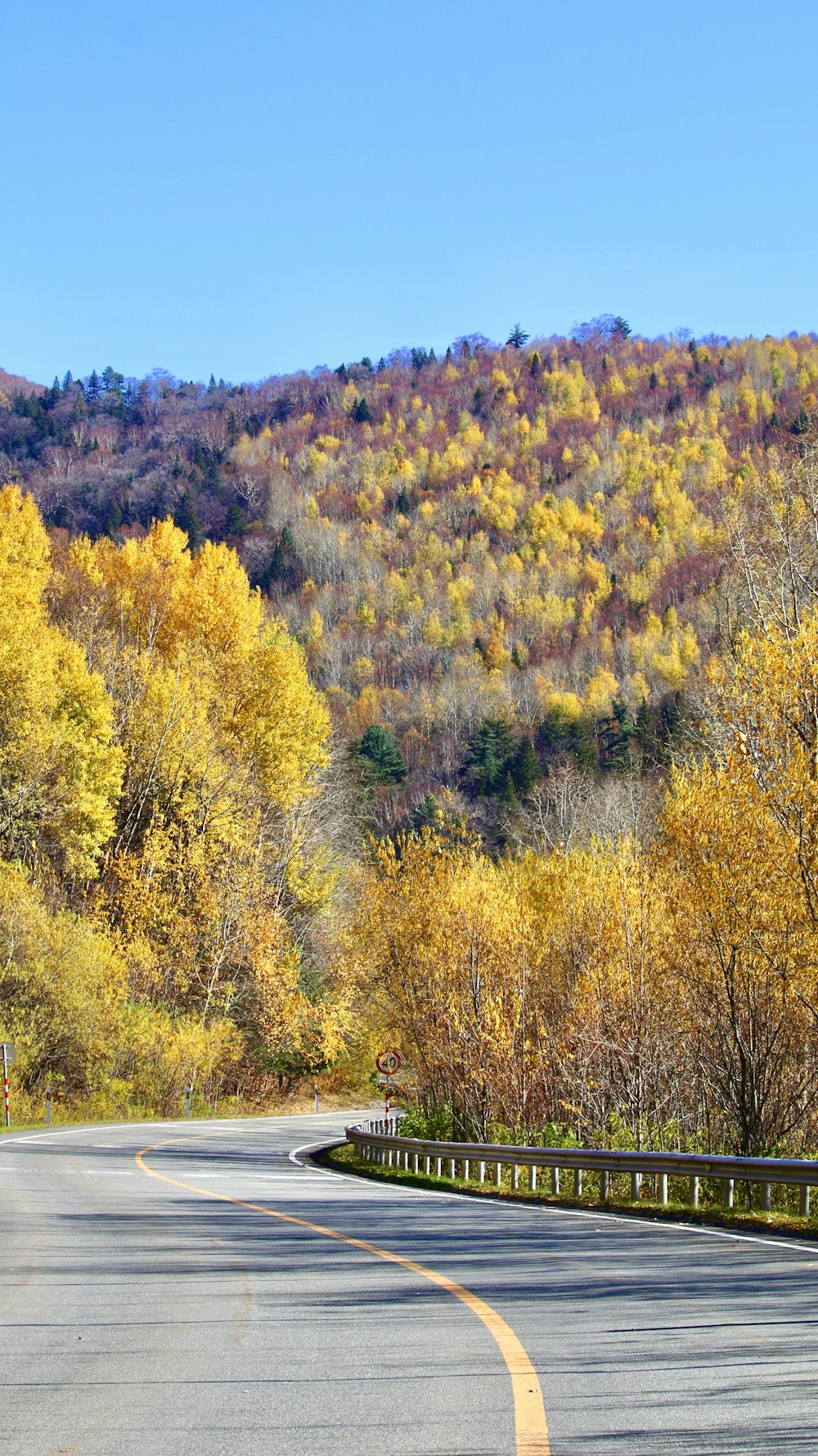 a road with a mountain in the background