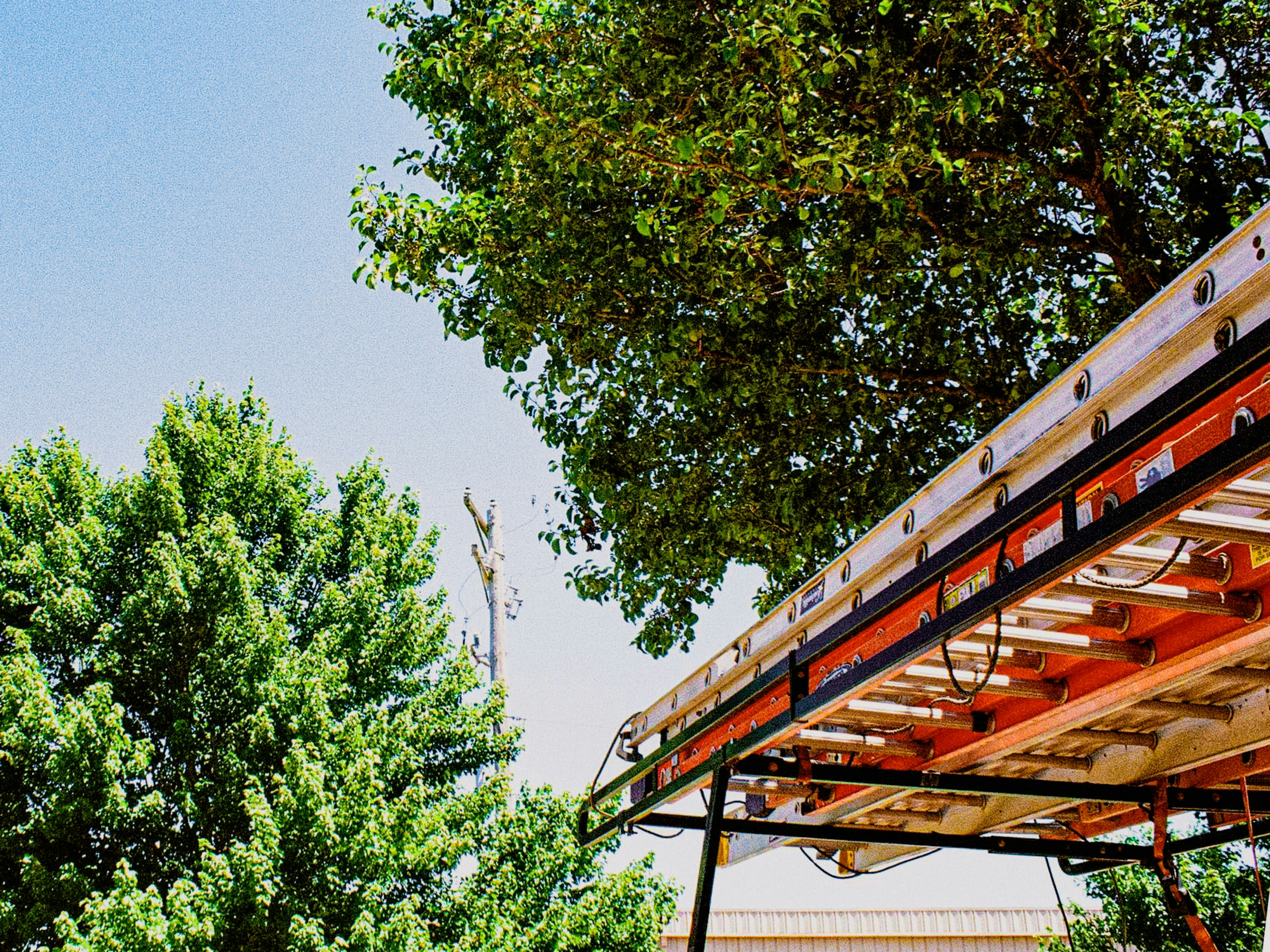 Un banco rojo sentado debajo de un árbol junto a un edificio alto