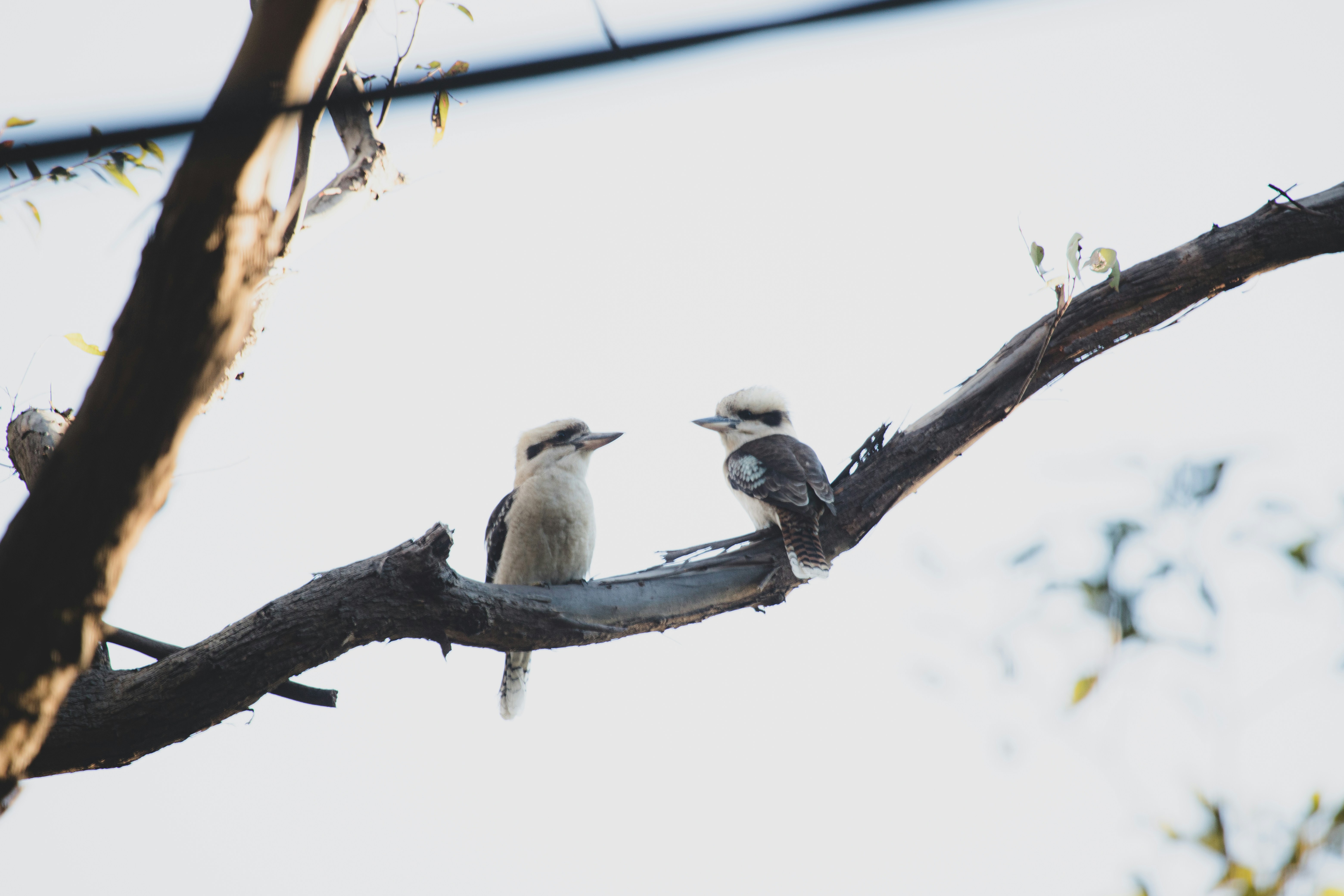 Photo by martin_dav1d