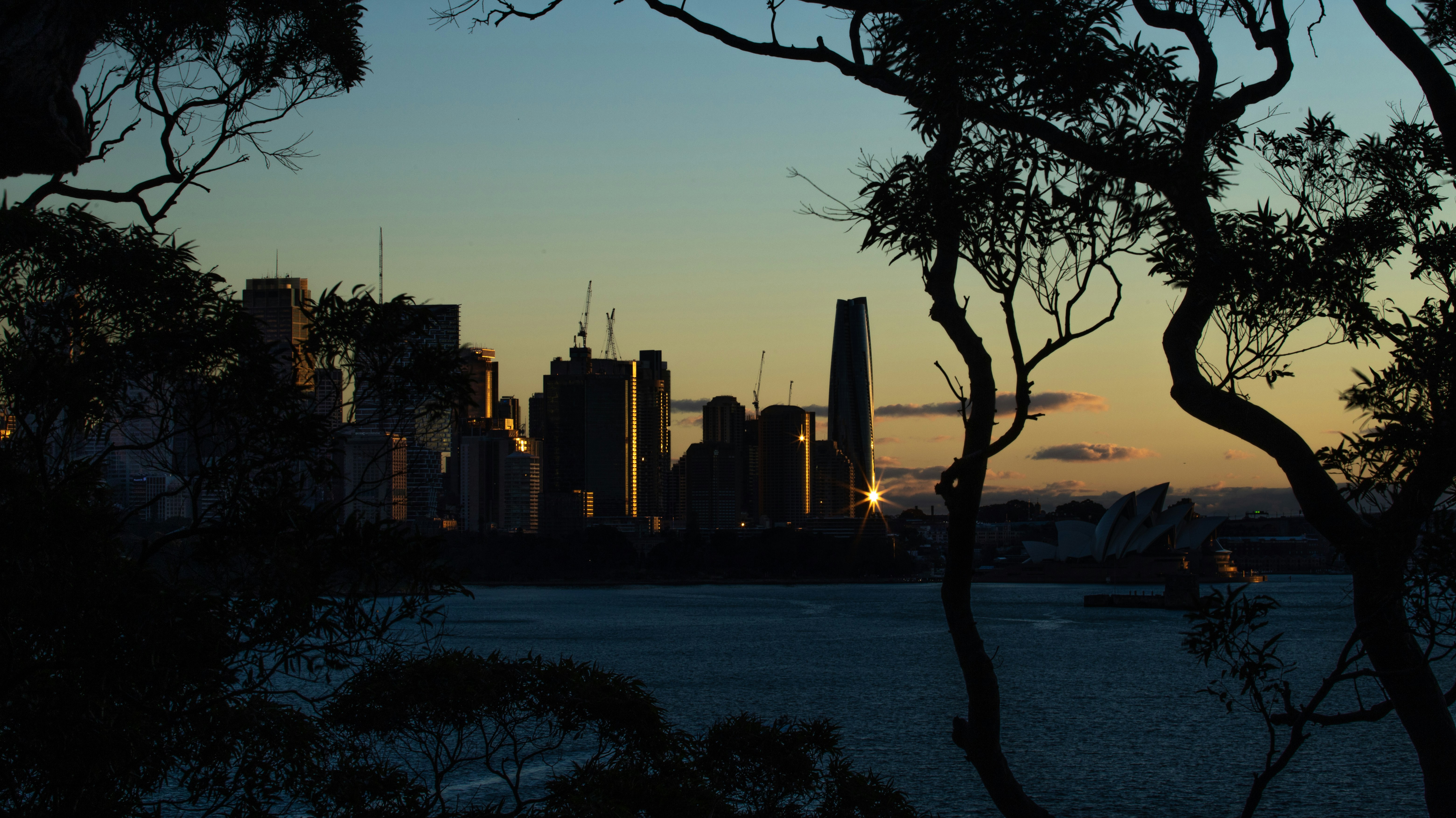 Image by Martin David via Unsplash