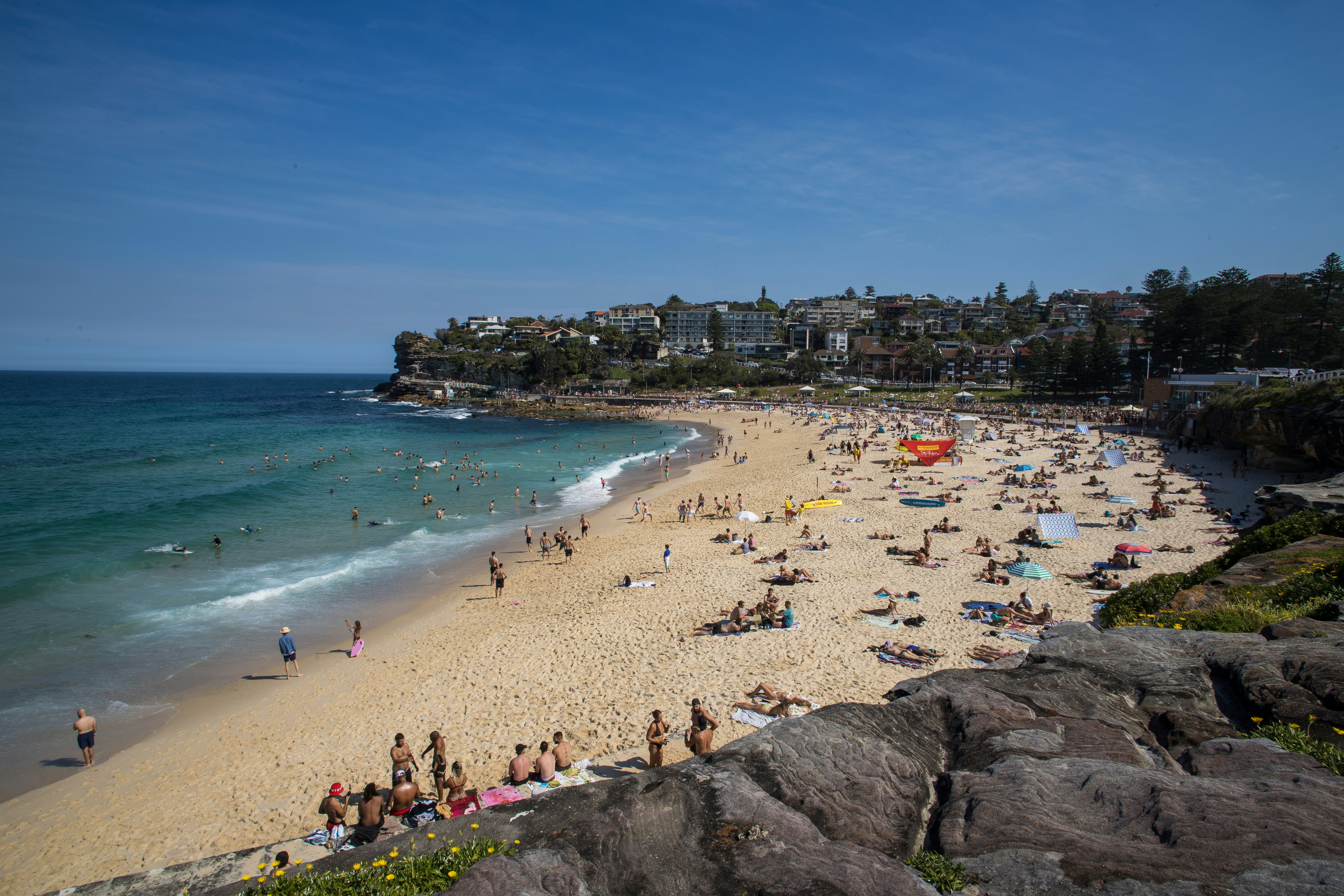 Photo by martin_dav1d