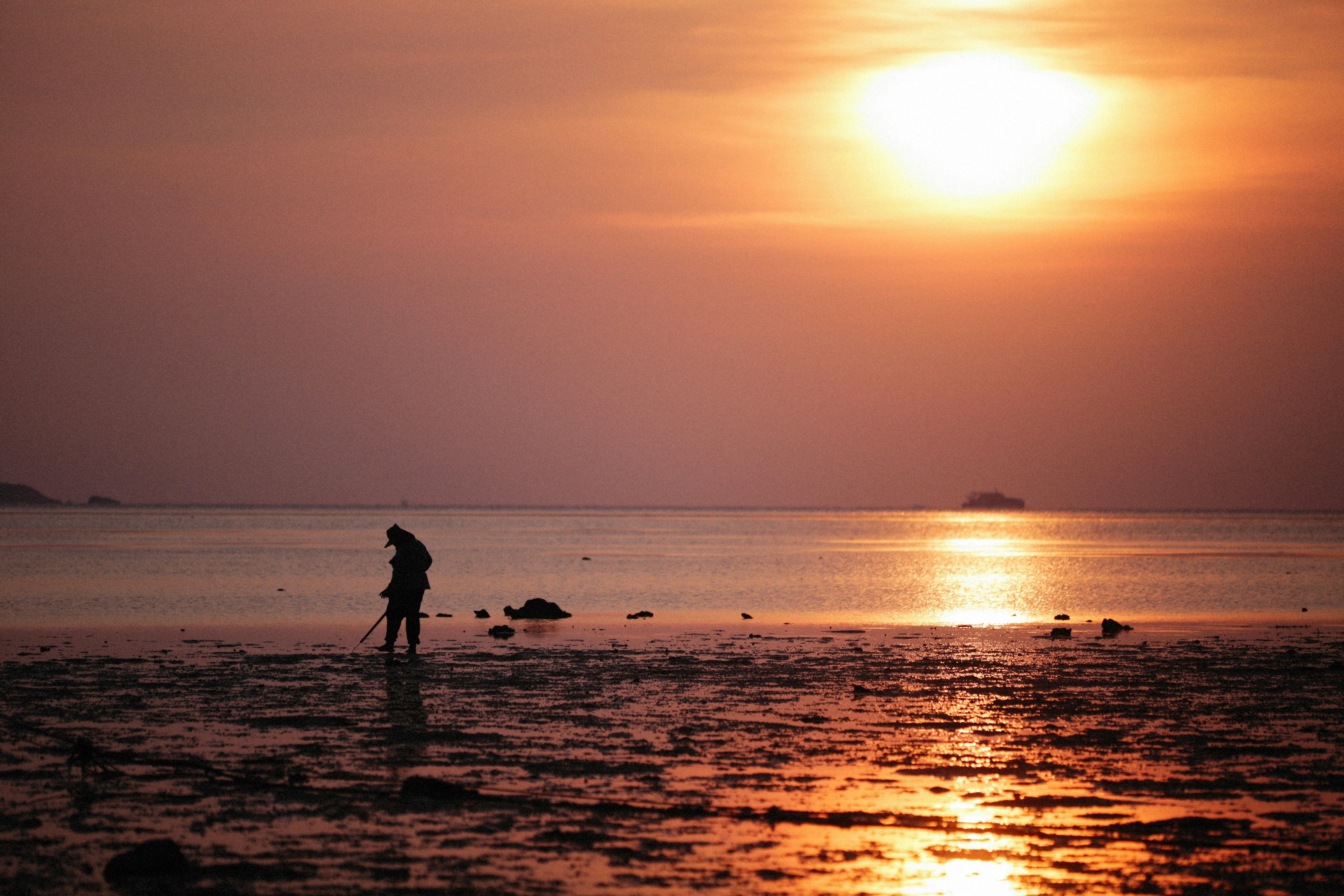 Photo by alexeydemidov