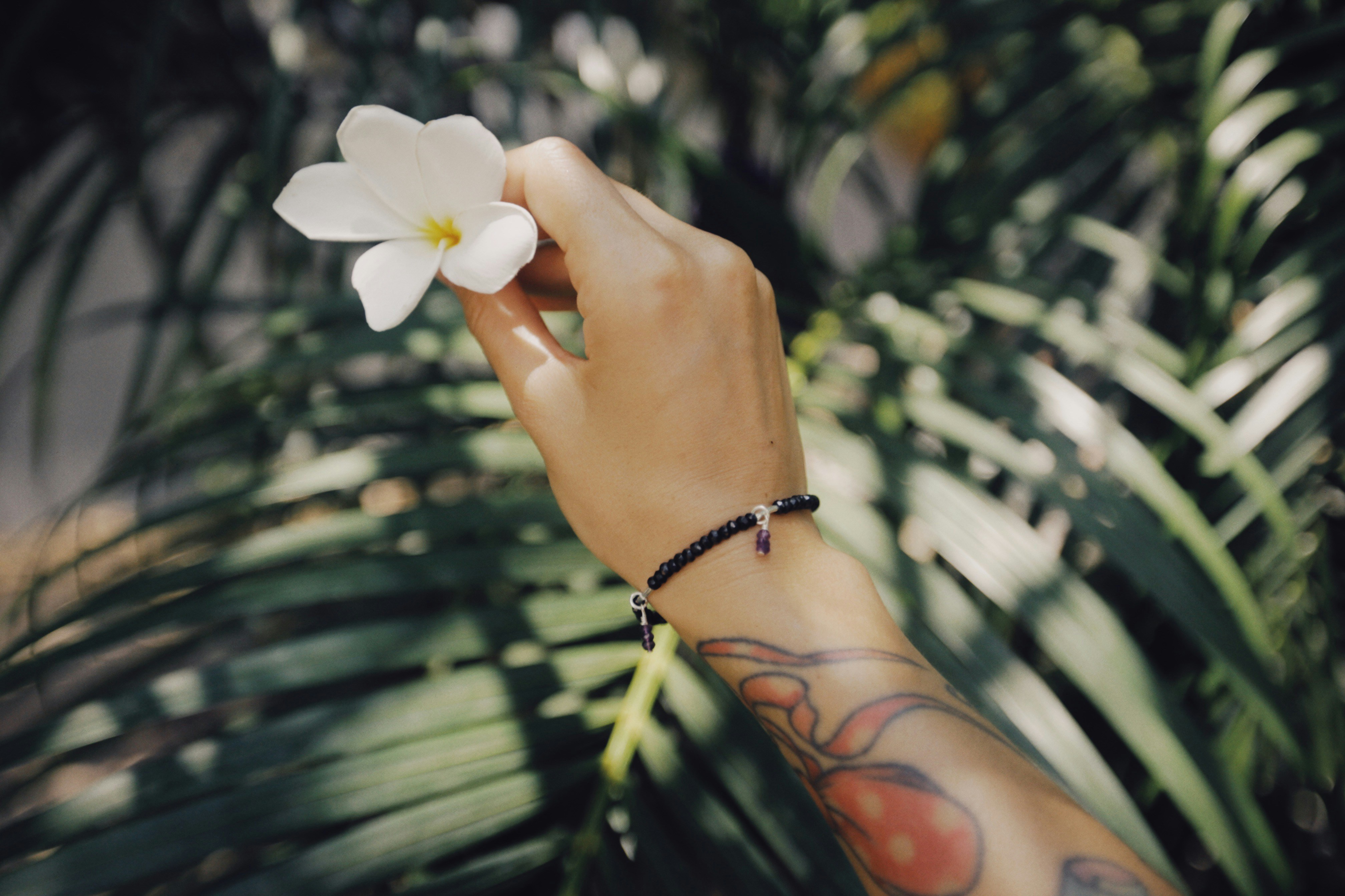 Photo by alexeydemidov