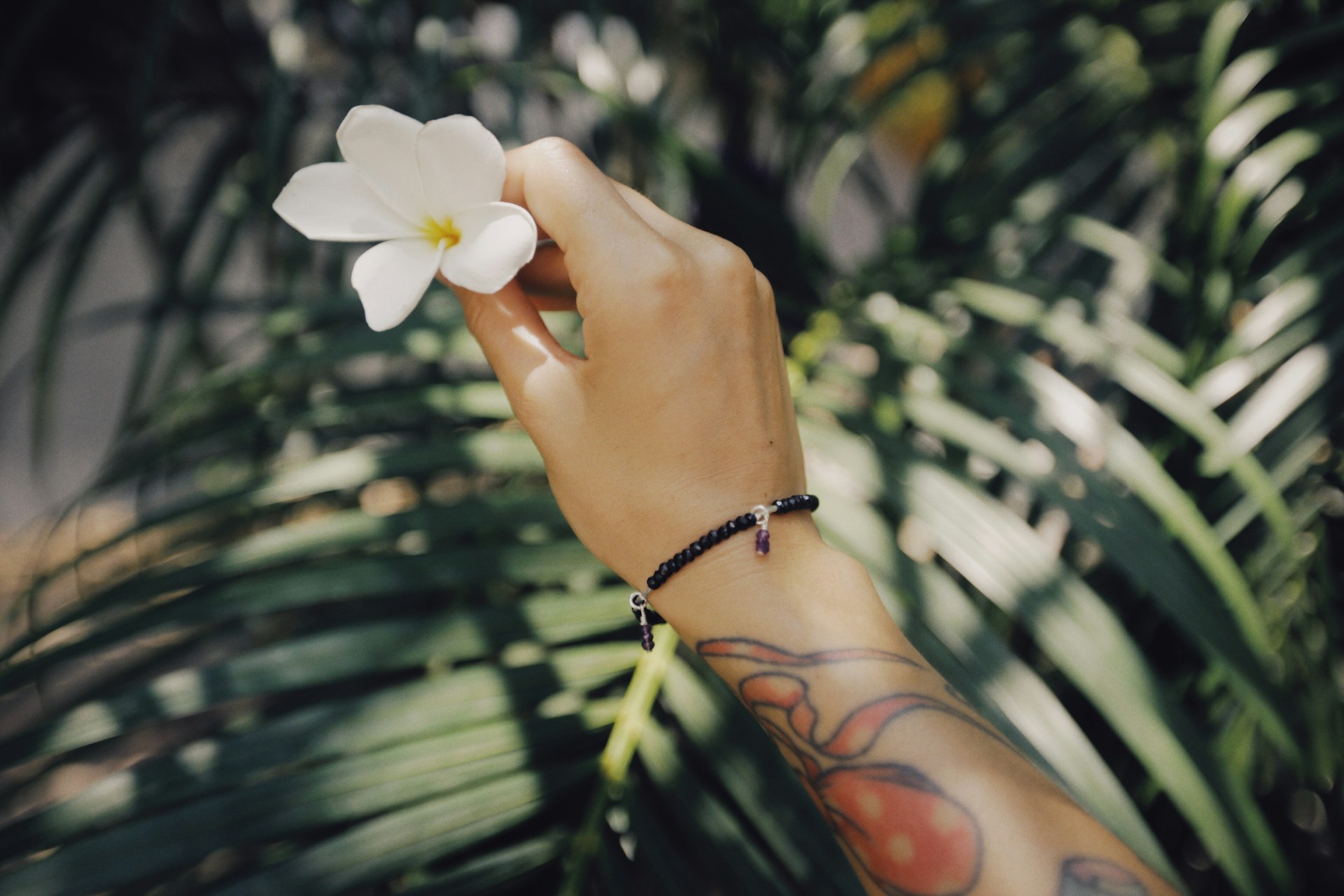a person holding a flower in their hand