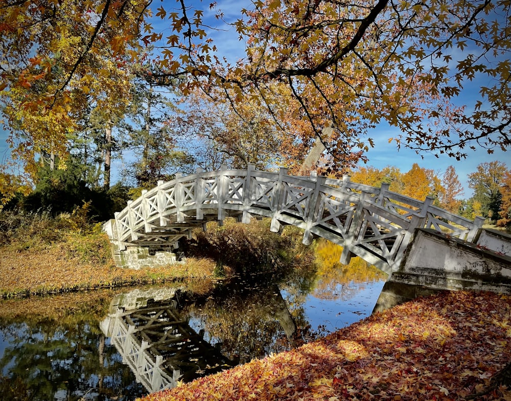 a white bridge over a pond surrounded by trees