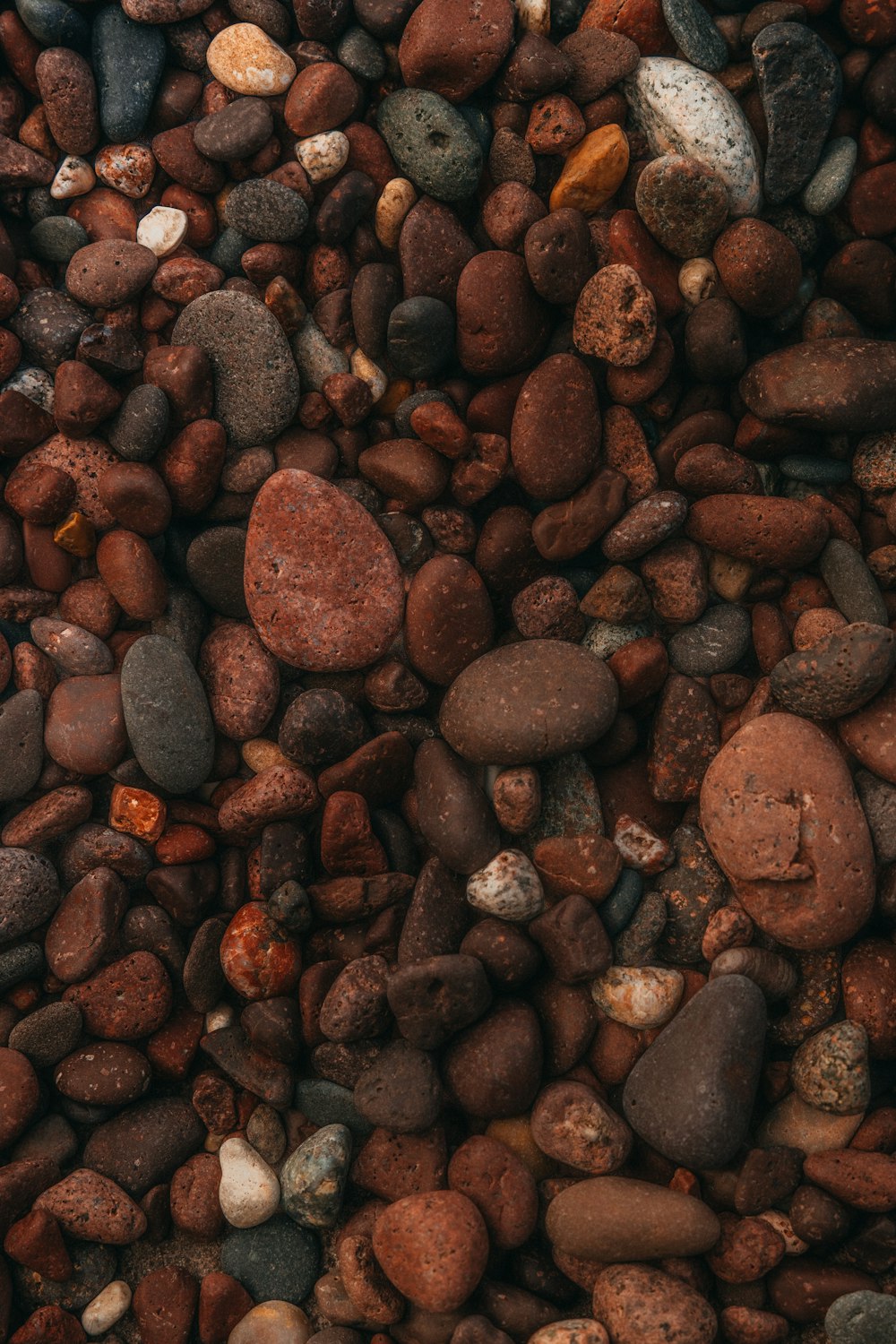 a bunch of rocks that are next to each other