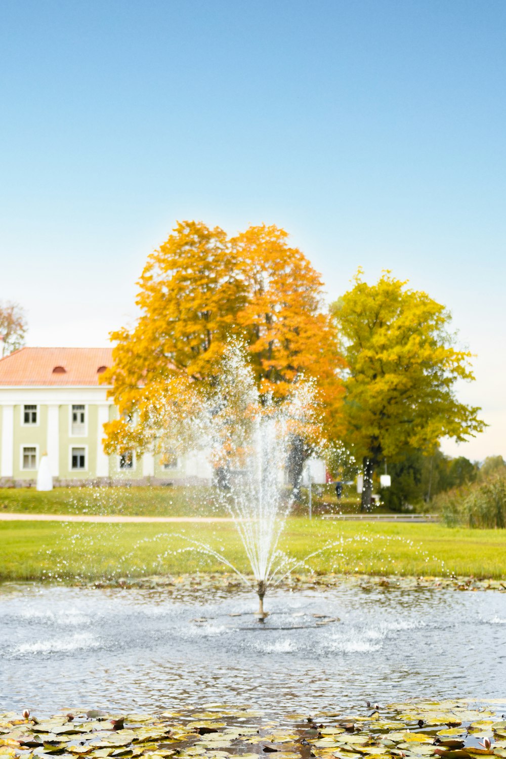 a fire hydrant spewing water into a pond