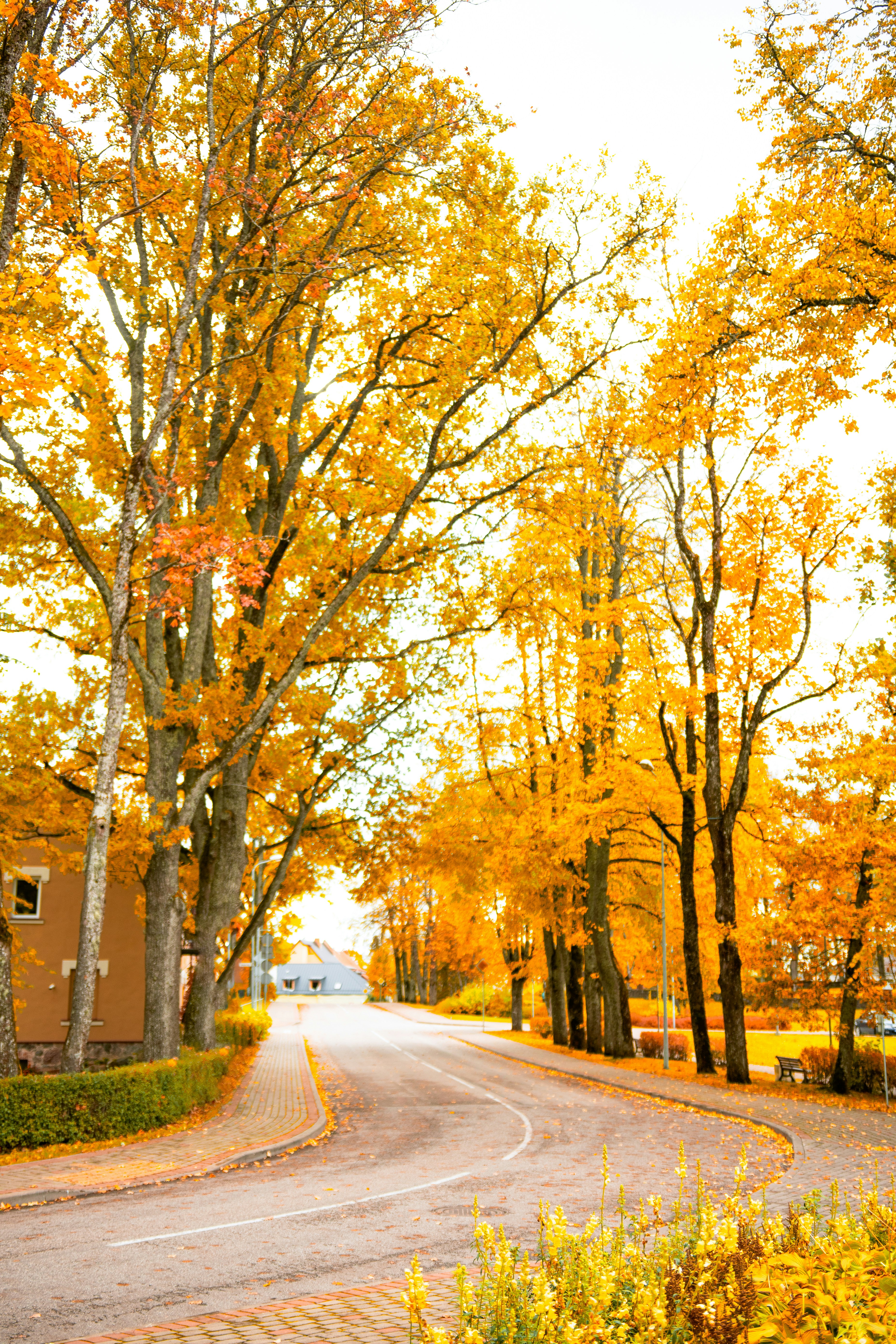 Photo by ainarscekuls