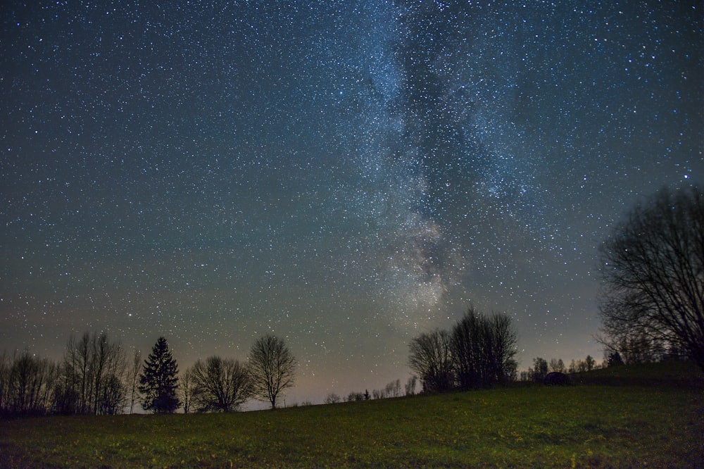 the night sky with stars and trees in the foreground