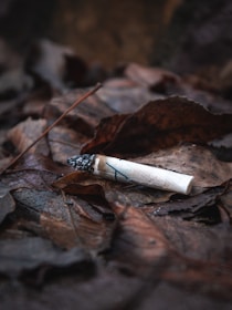 a cigarette sitting on top of a leaf covered ground