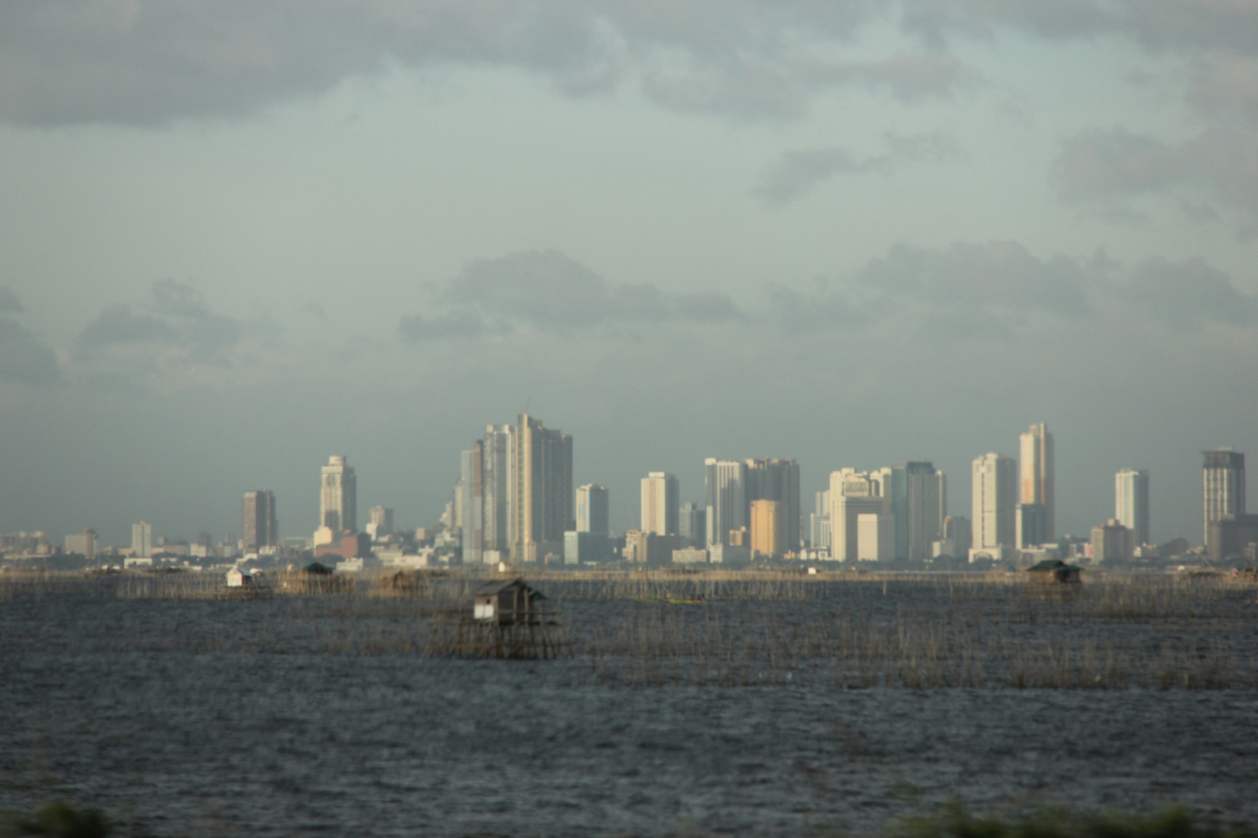 Photo by dasalwarrior