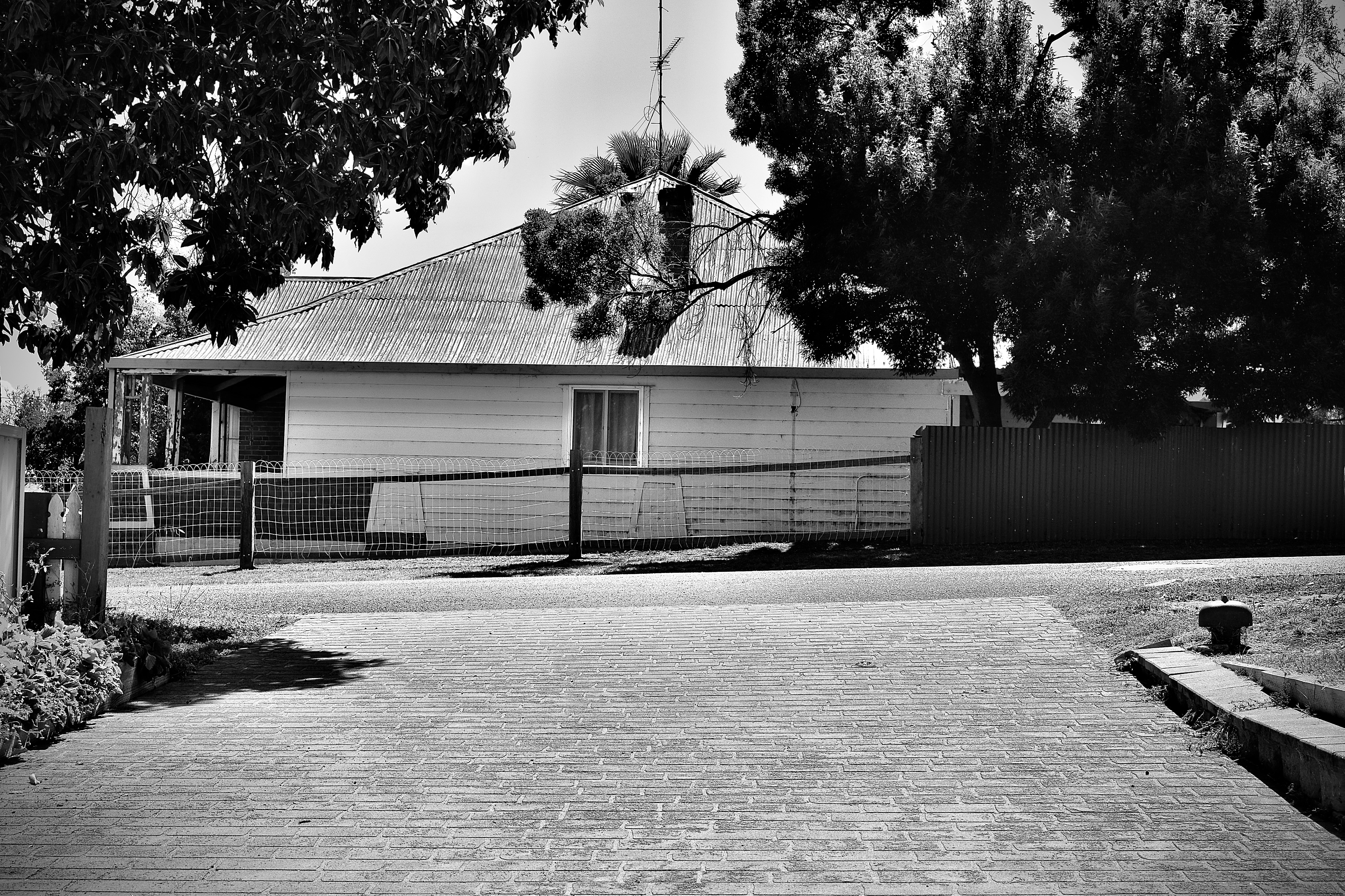 Photo by stararandale