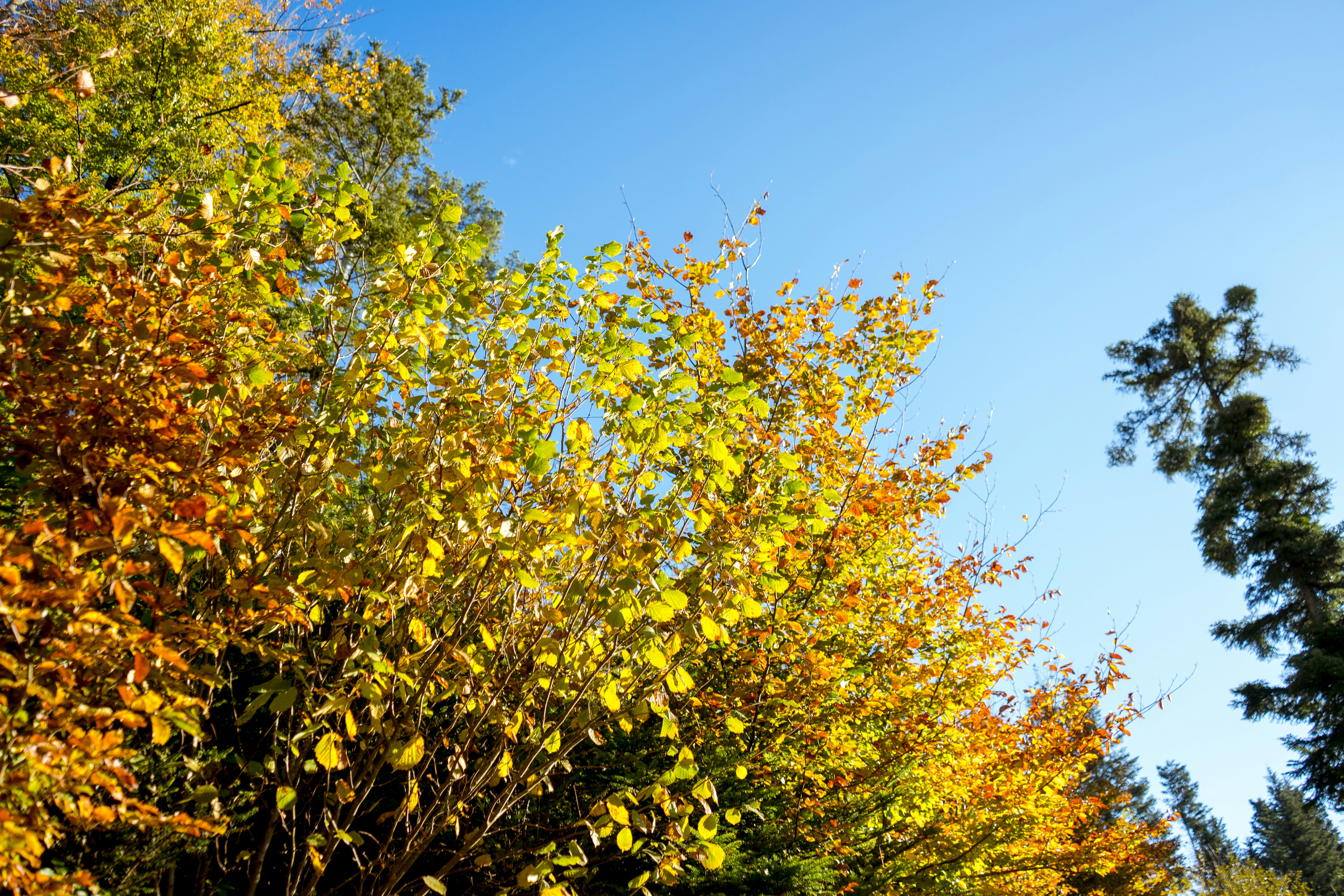 Photo by virussinside