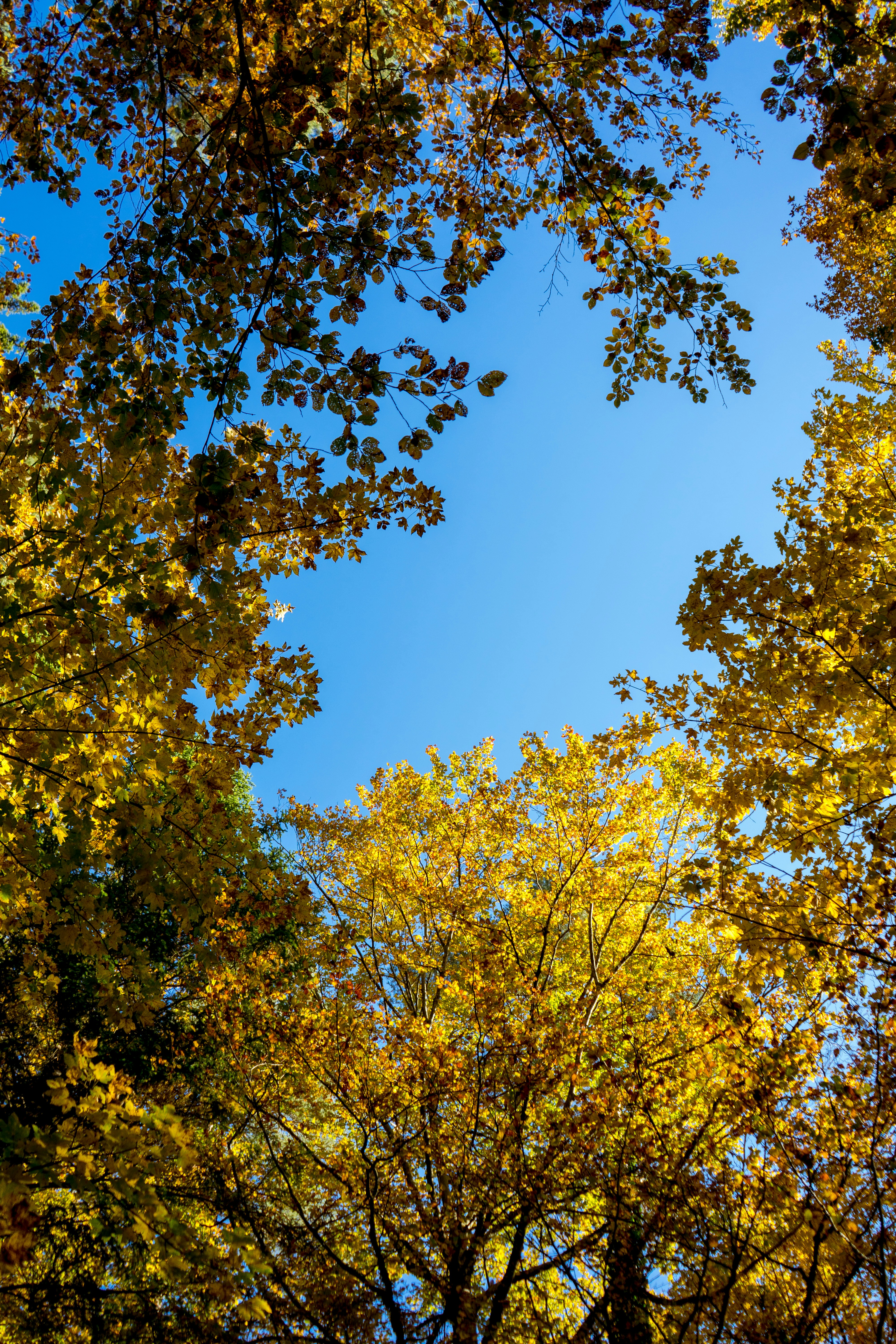 Photo by virussinside