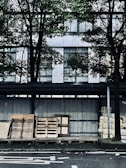 A street scene featuring several wooden pallets stacked against a wall. Behind the pallets, a building with reflective glass windows is partially obscured by the branches and leaves of nearby trees. The ground is paved, and several stacks of packaged material are visible to the right.