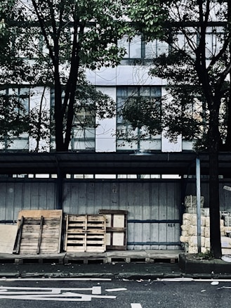 A street scene featuring several wooden pallets stacked against a wall. Behind the pallets, a building with reflective glass windows is partially obscured by the branches and leaves of nearby trees. The ground is paved, and several stacks of packaged material are visible to the right.
