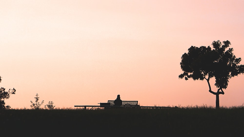 a person sitting on a bench near a tree