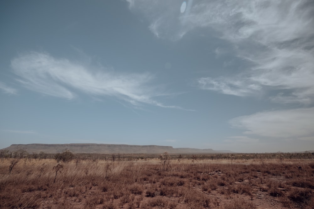 a large open field with a hill in the distance