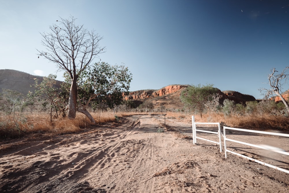 a dirt road with a white fence and trees