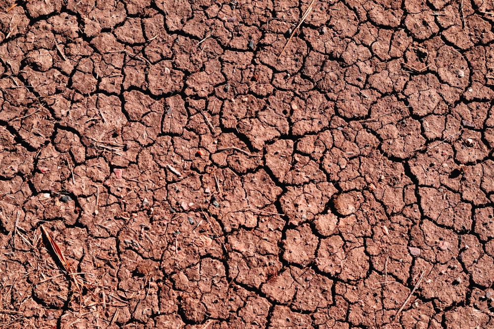 a close up of a dirt surface with small cracks