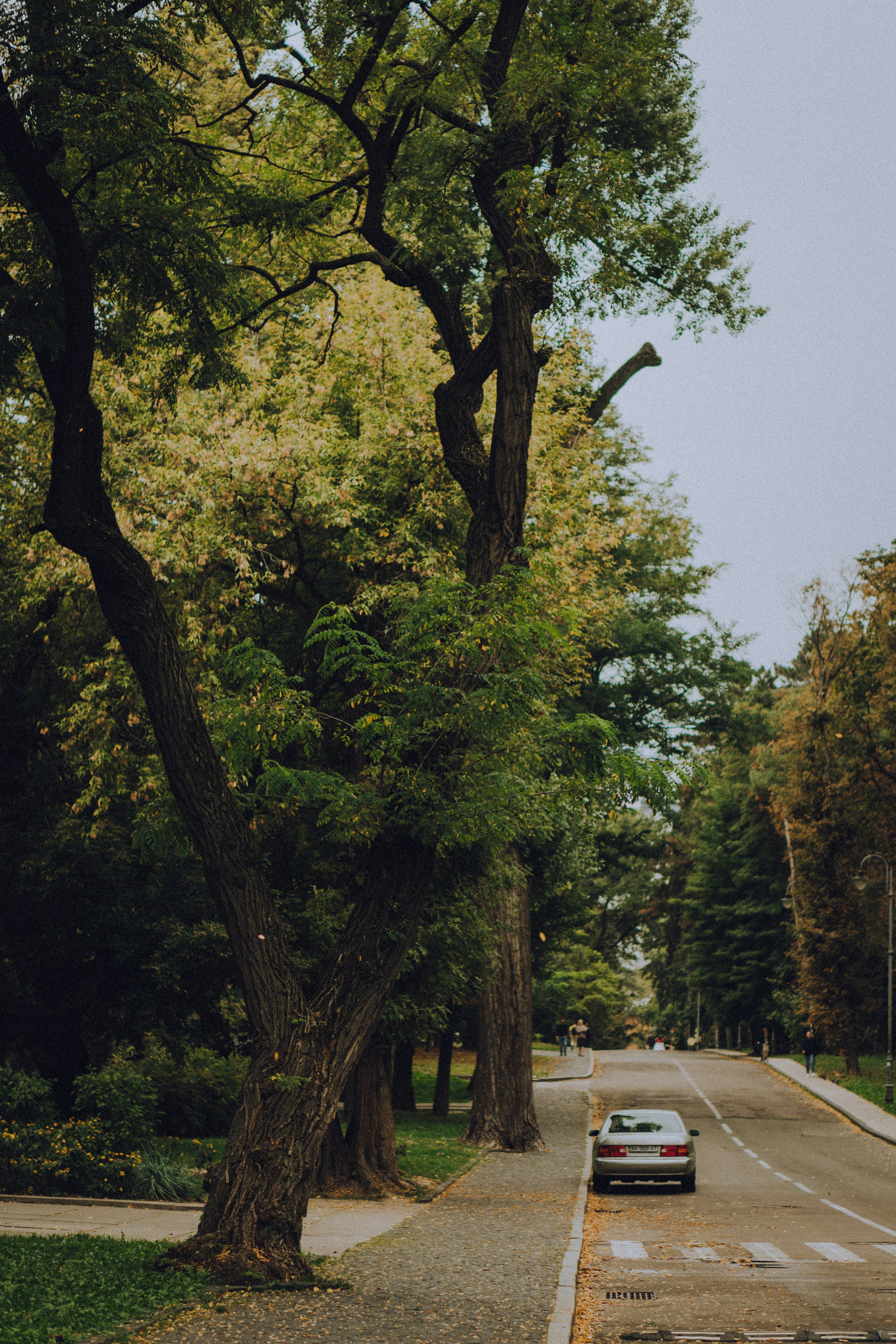 Photo by ulitretynychenko