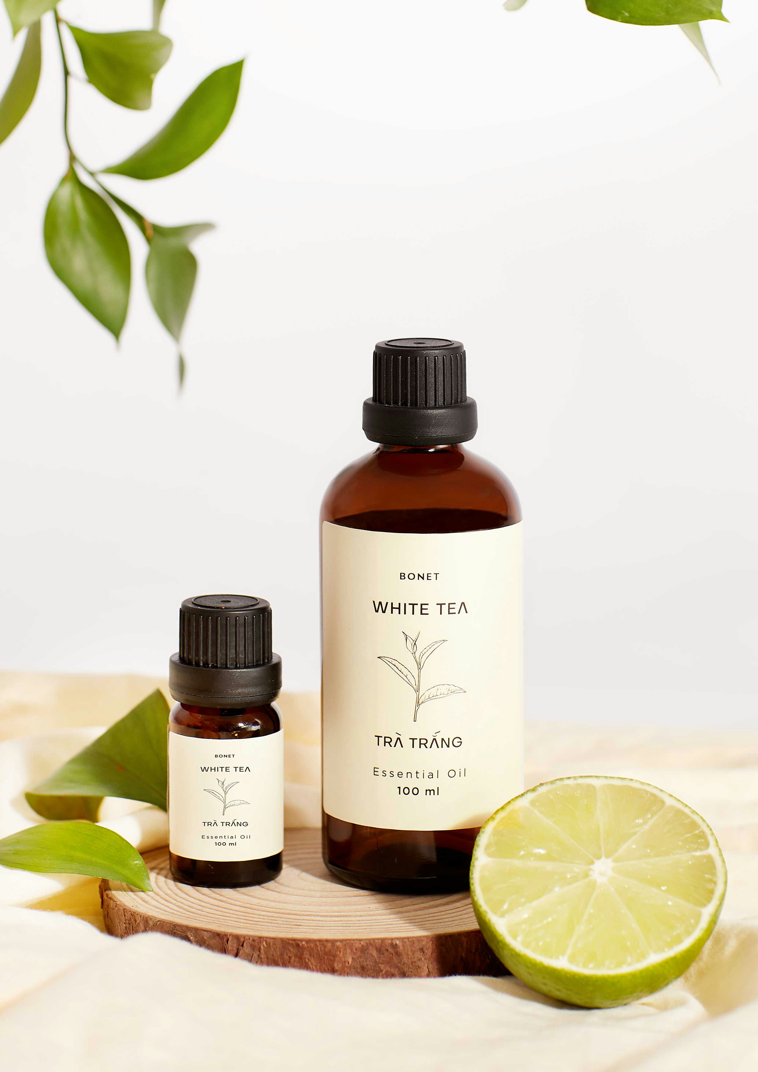tea tree oil bottle, wallpaper, Best Tea Tree Oil Gel for Nodular Acne: A Complete Guide 5