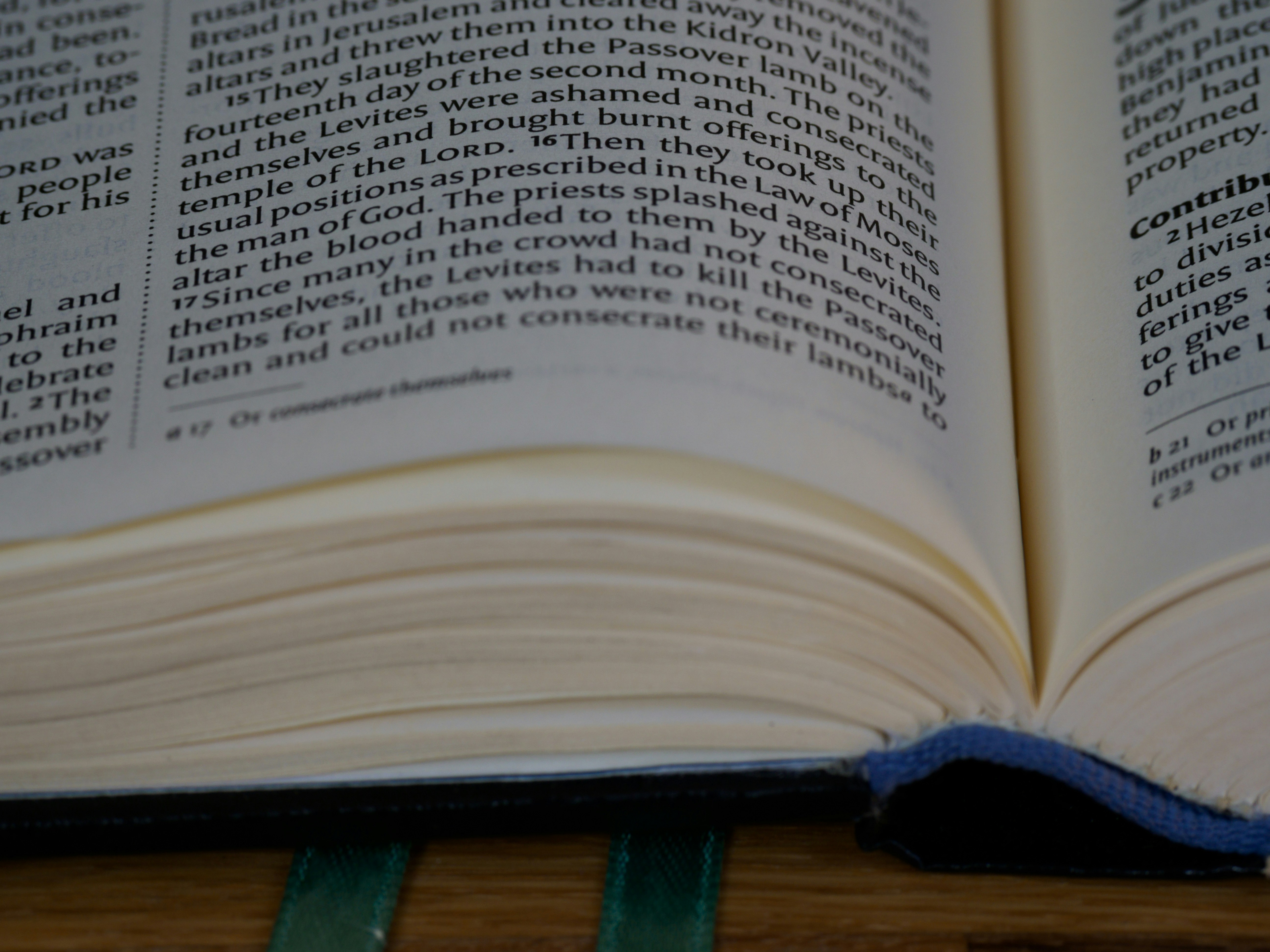 Photo by brett_jordan