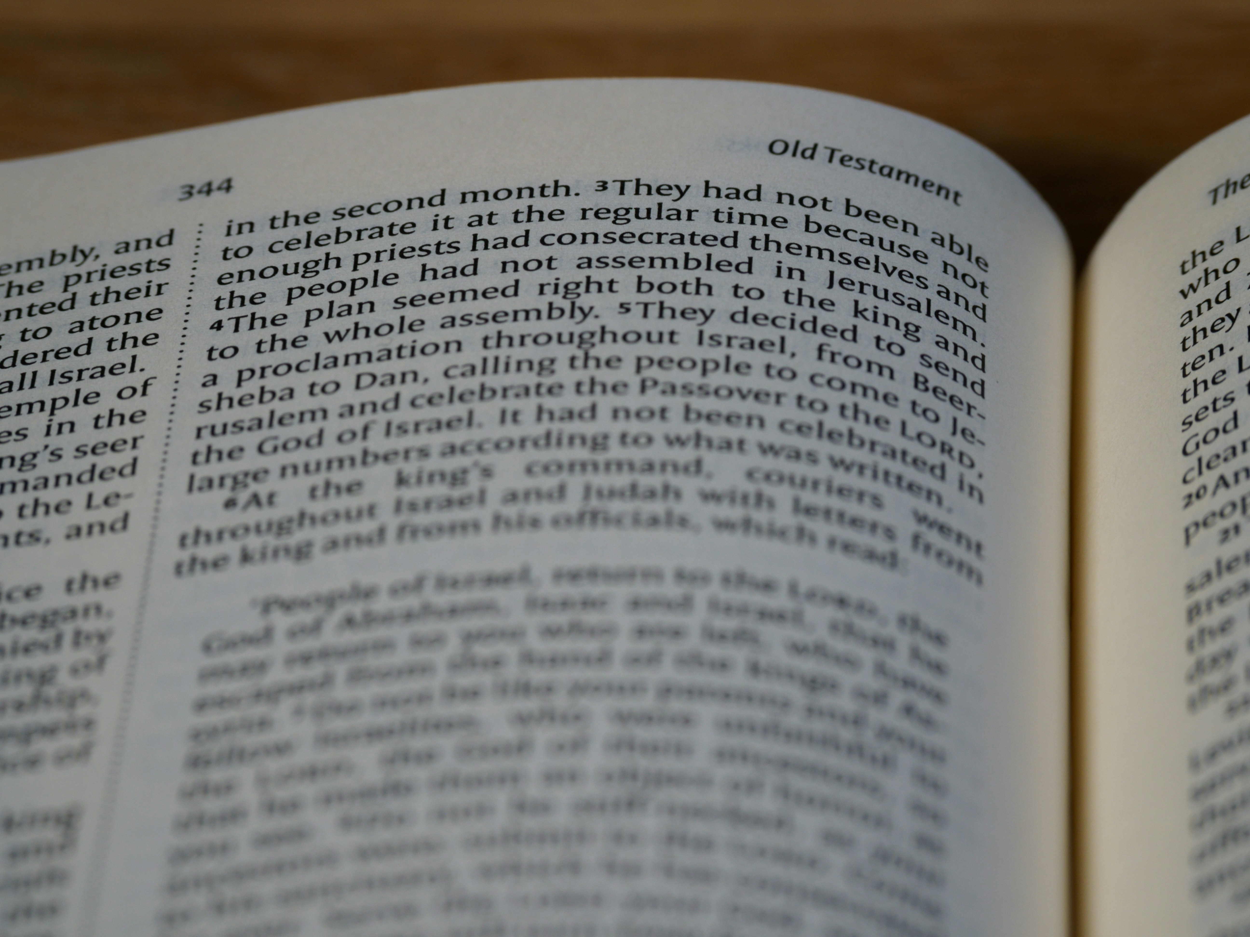 Photo by brett_jordan