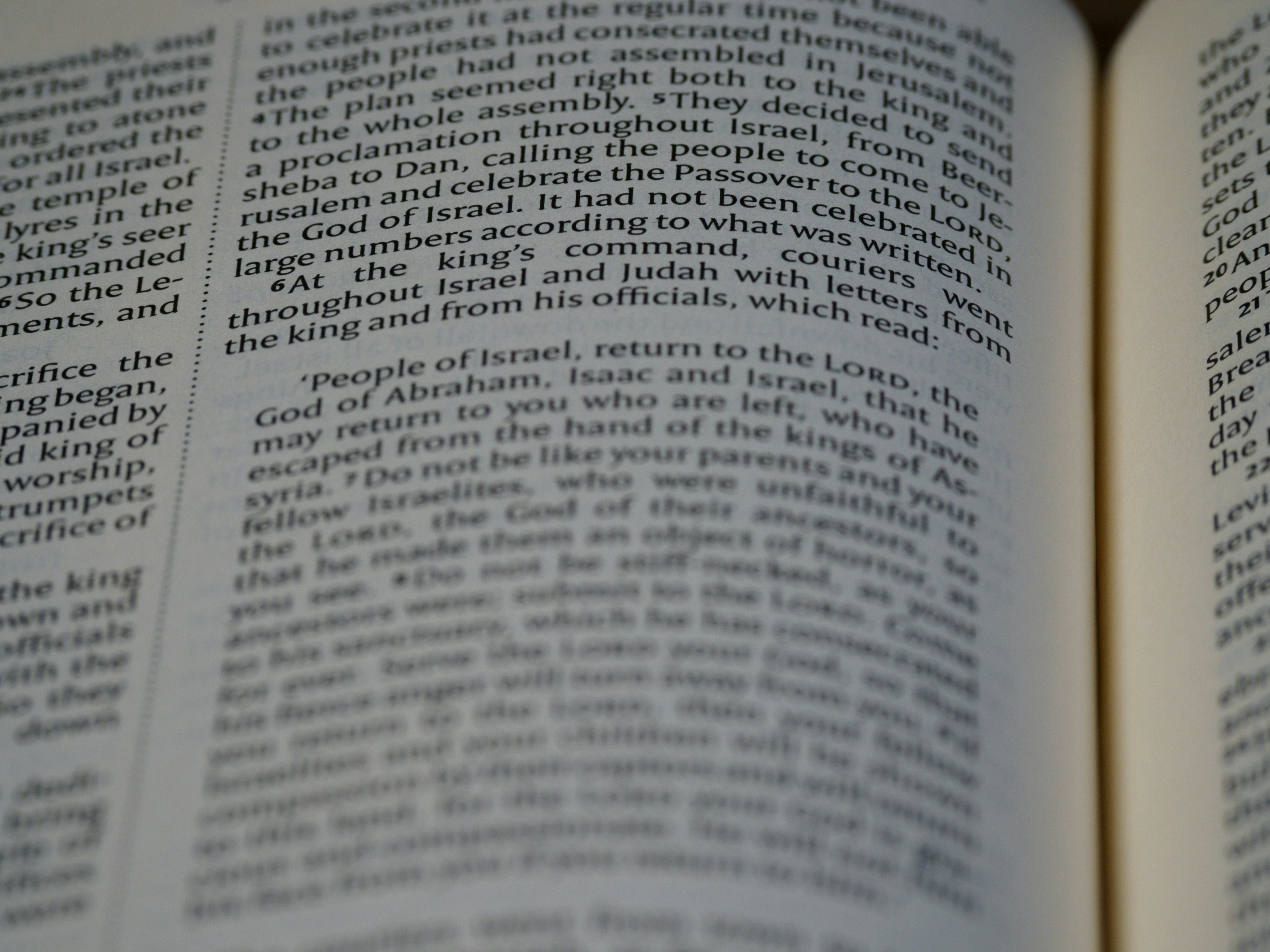 Photo by brett_jordan