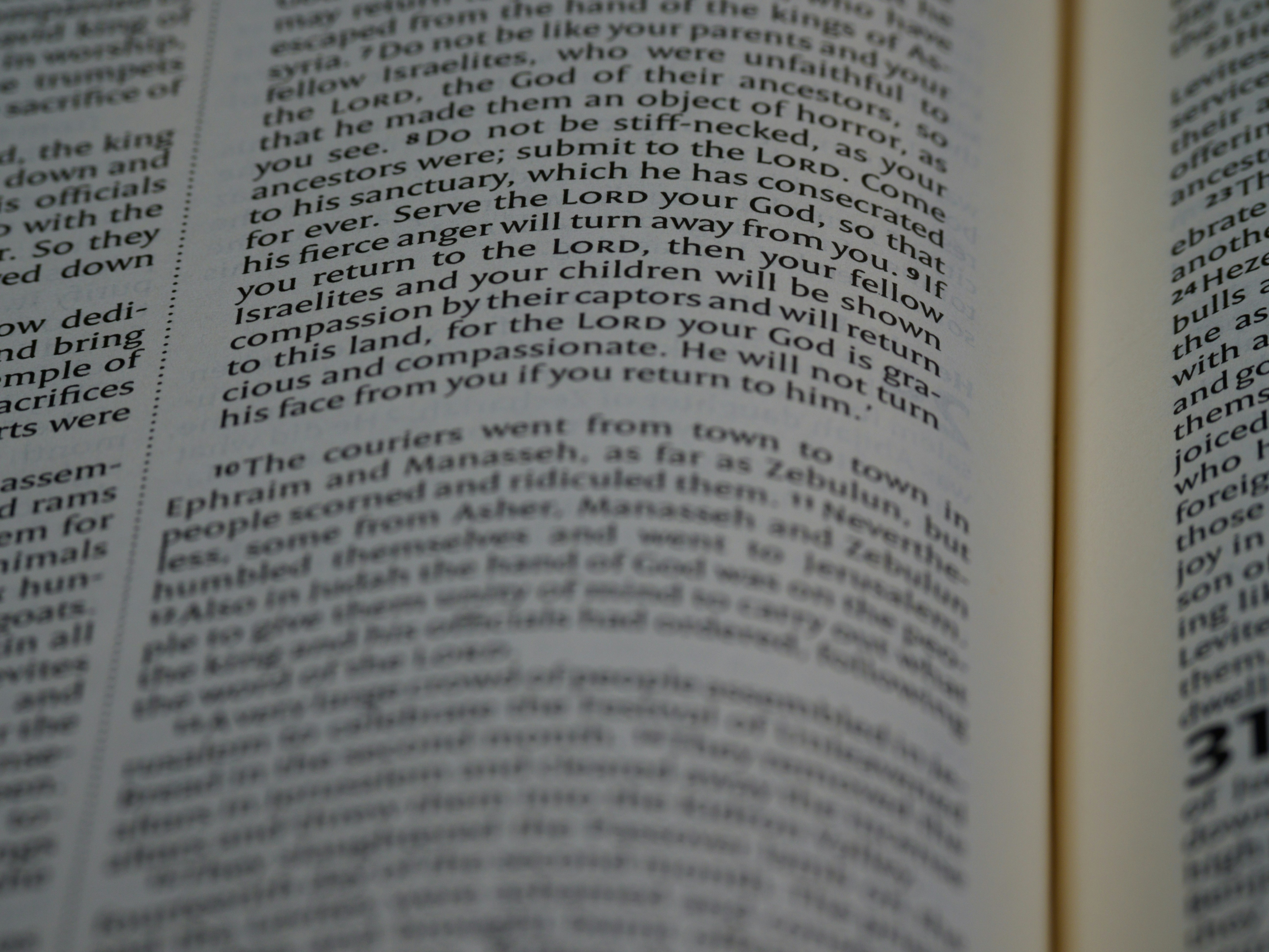 Photo by brett_jordan